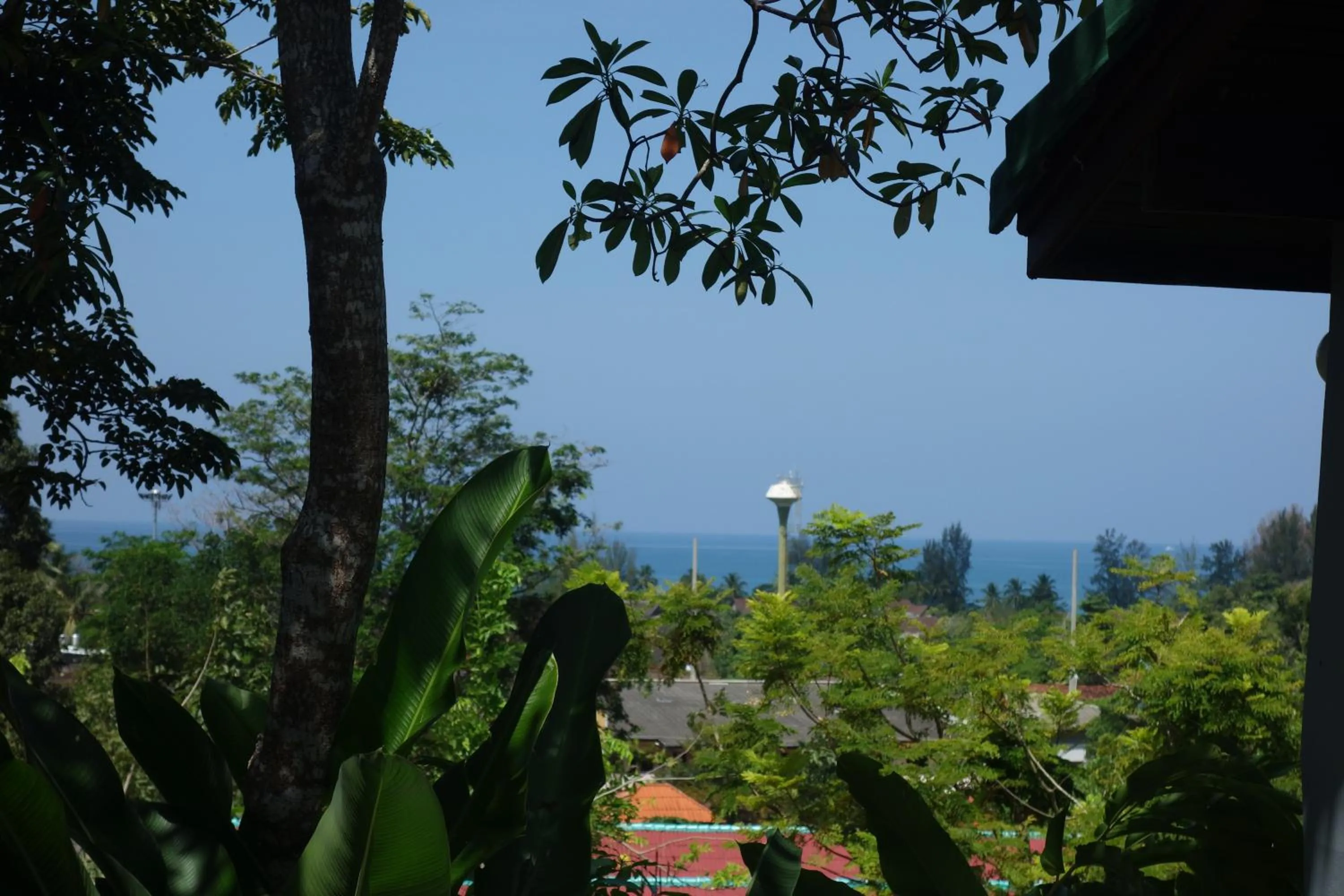Natural landscape in Khaolak Hillside Villa