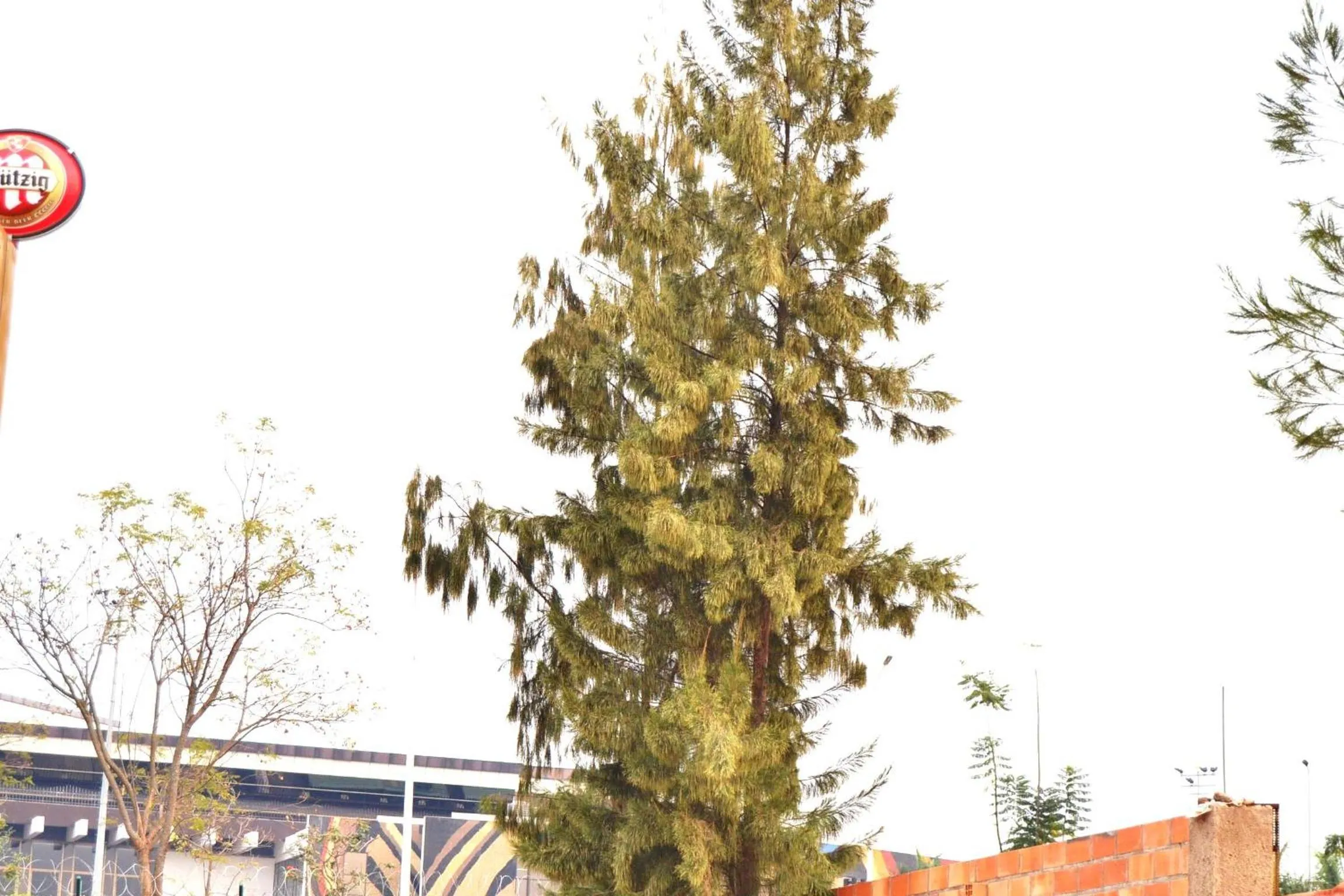 Property logo or sign in Martin Aviator Hotel