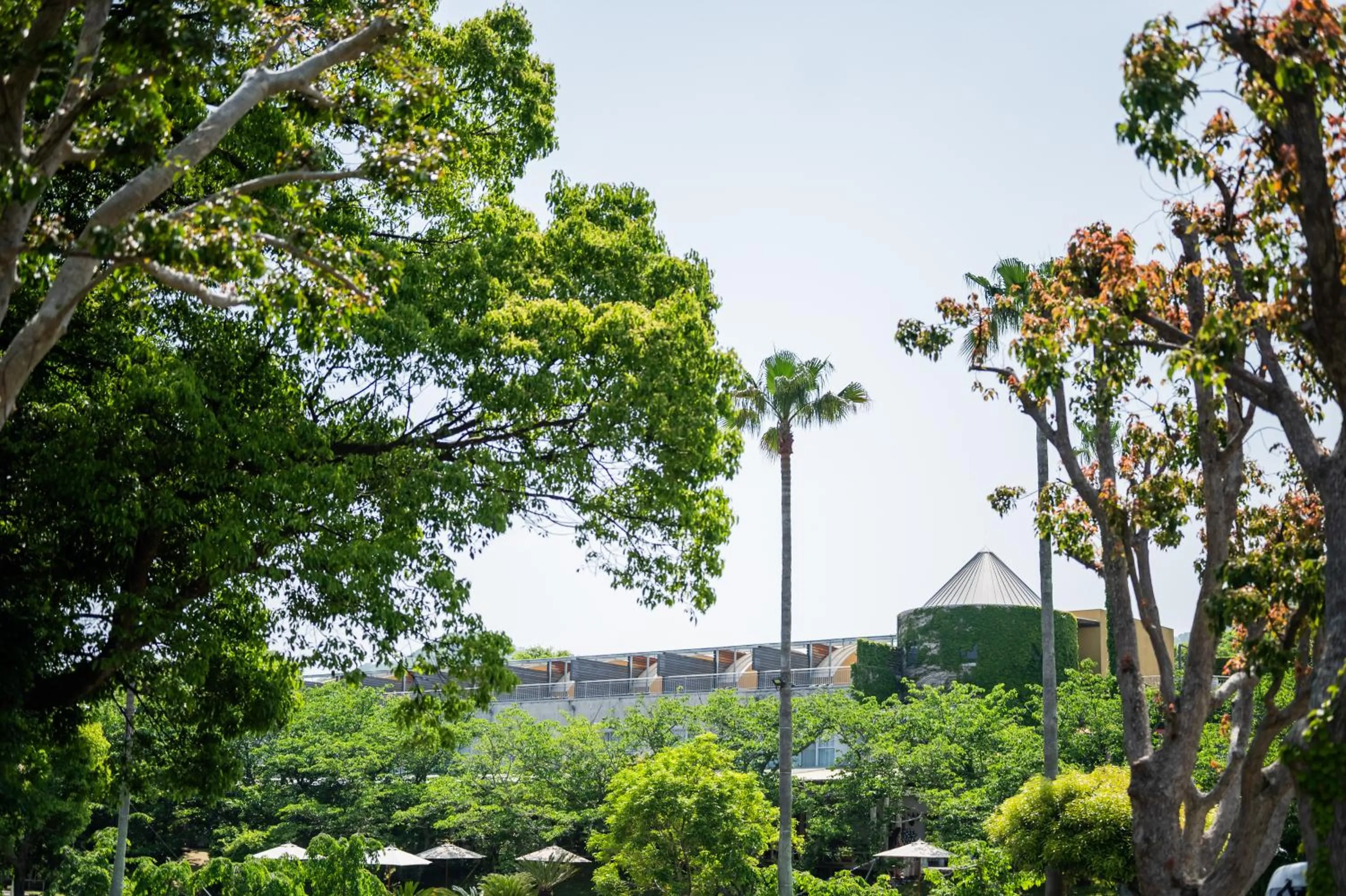 Day in Resort Hotel Moana Coast