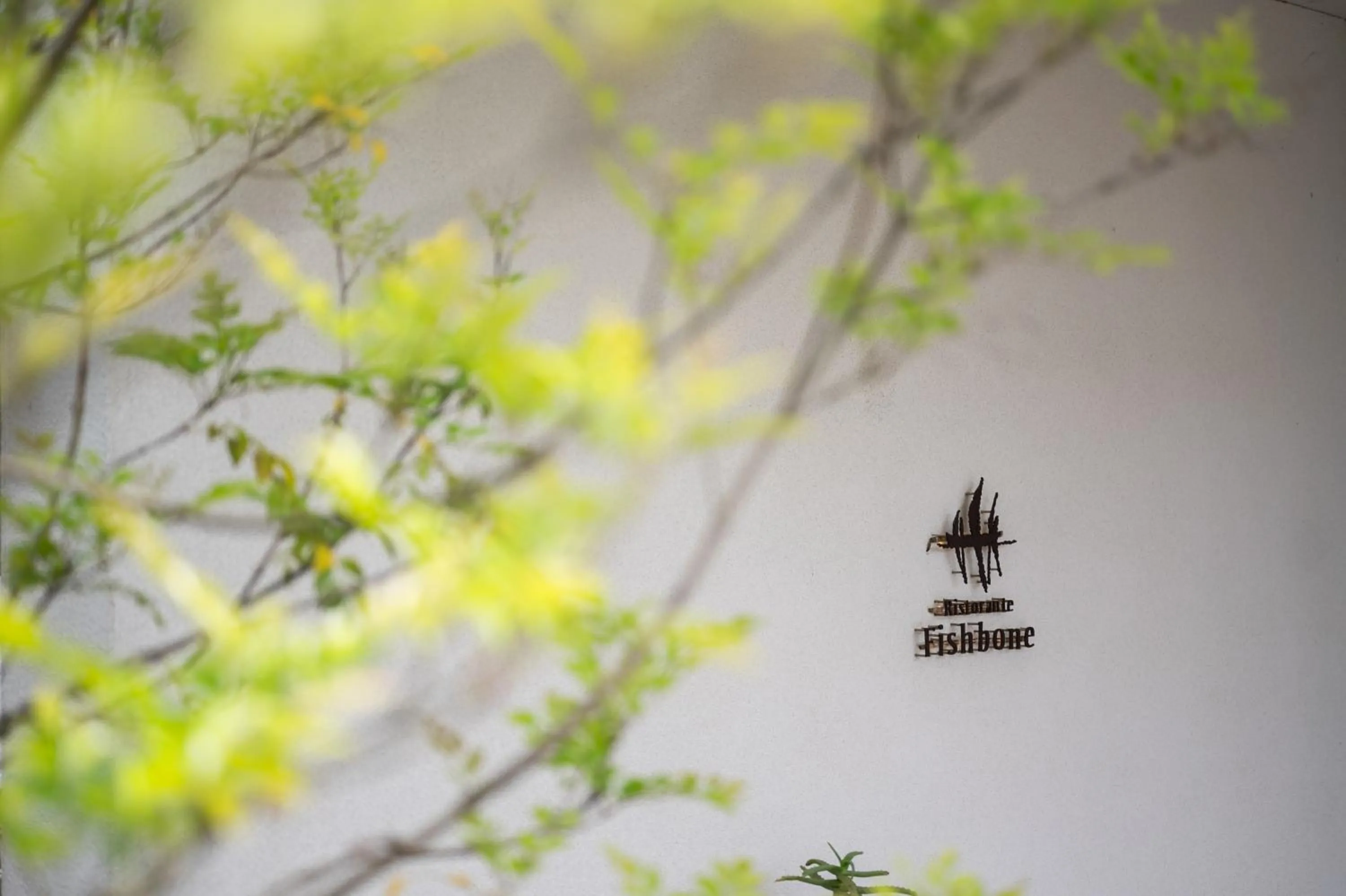 Restaurant/places to eat in Resort Hotel Moana Coast