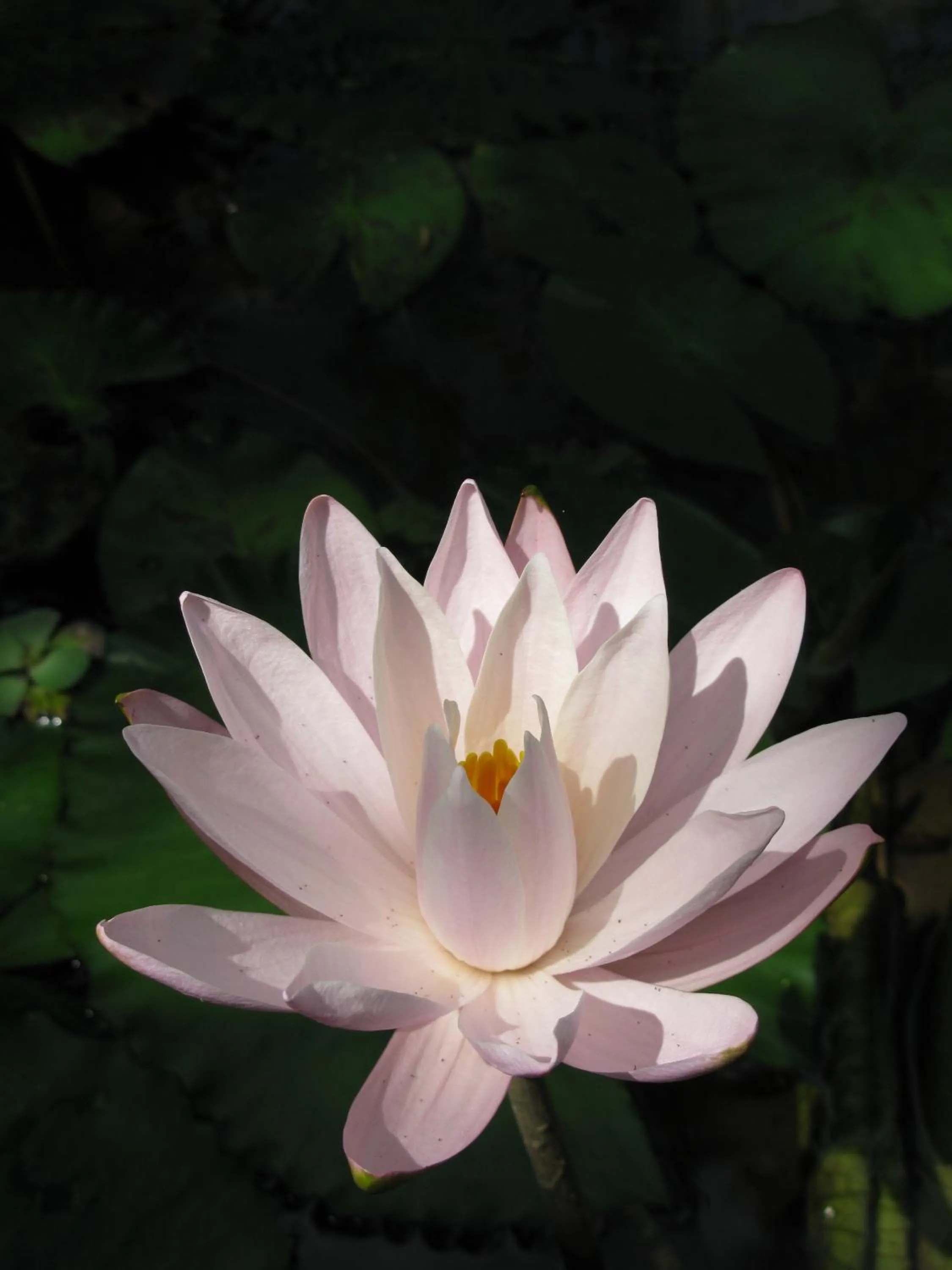 Other in Prana Dewi Mountain Resort