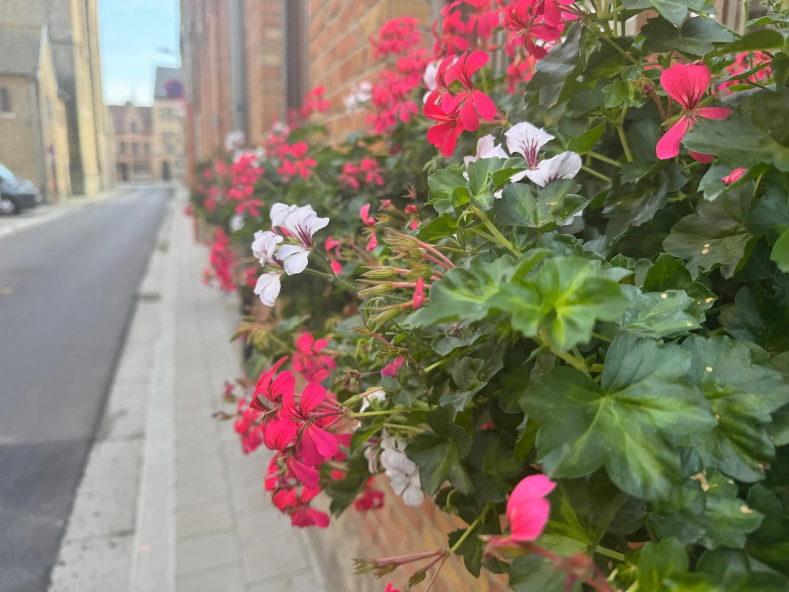 Street view in @Cocoon