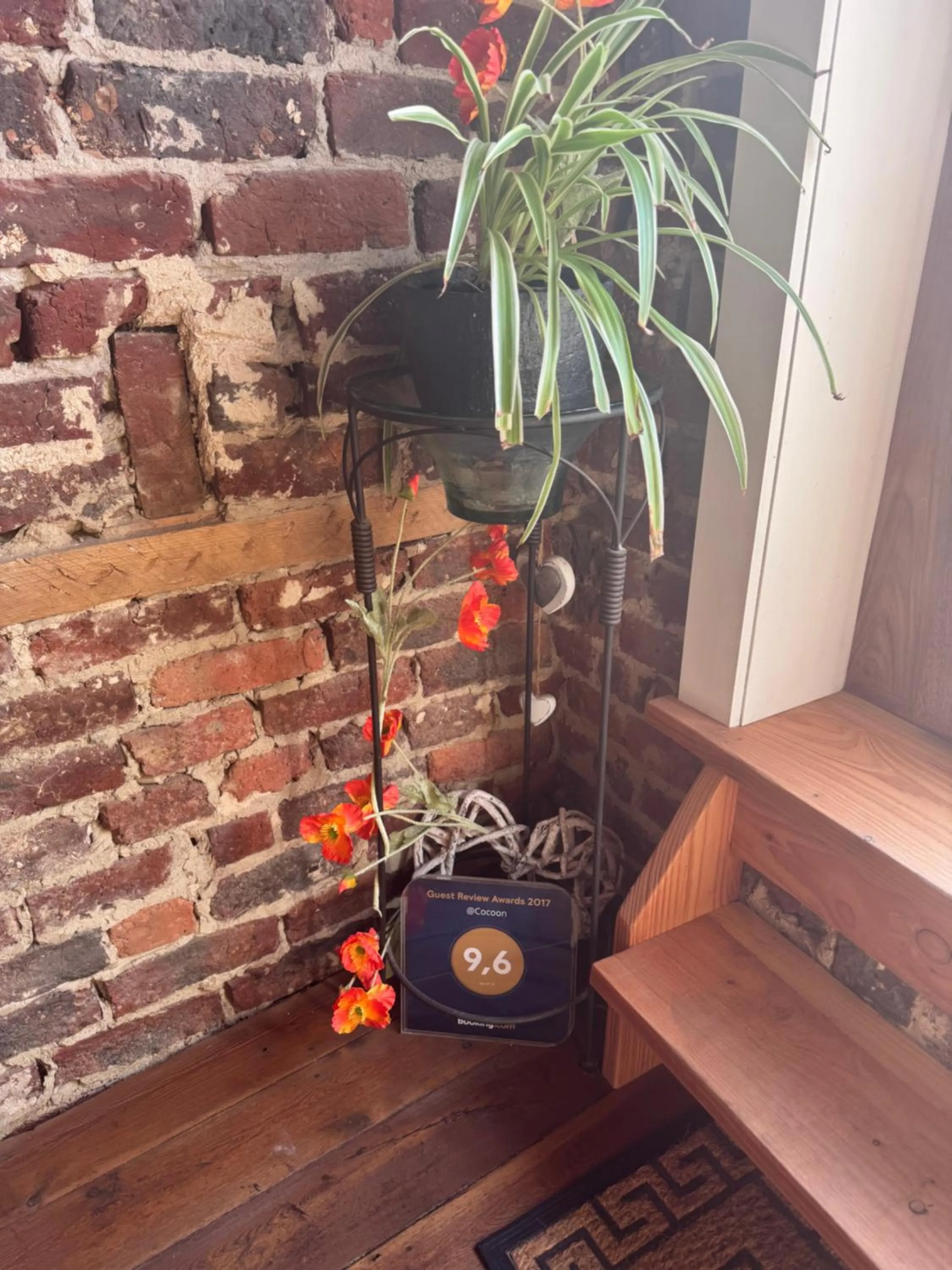 Property building in @Cocoon