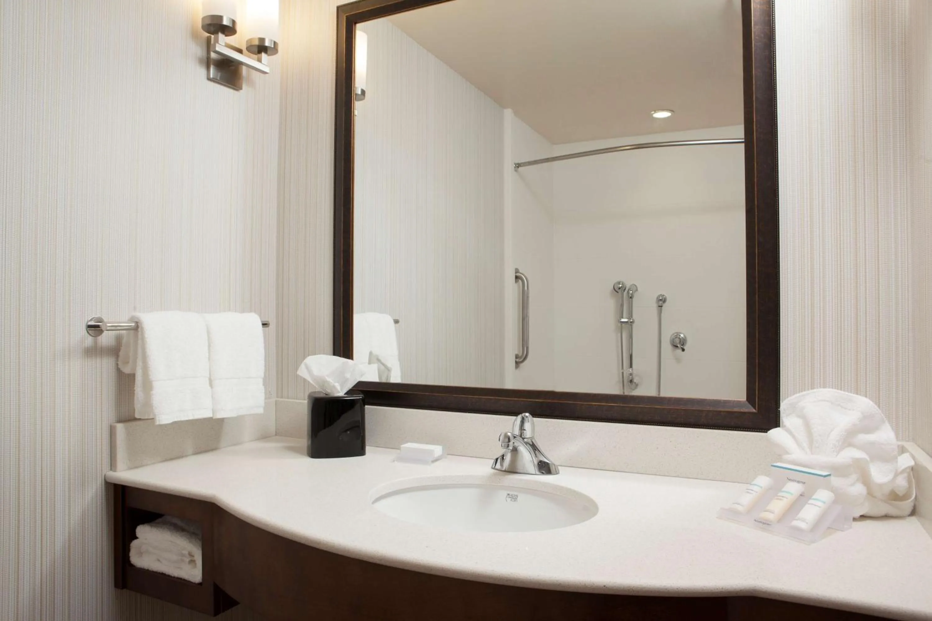 Bathroom in Hilton Garden Inn Bettendorf/ Quad Cities