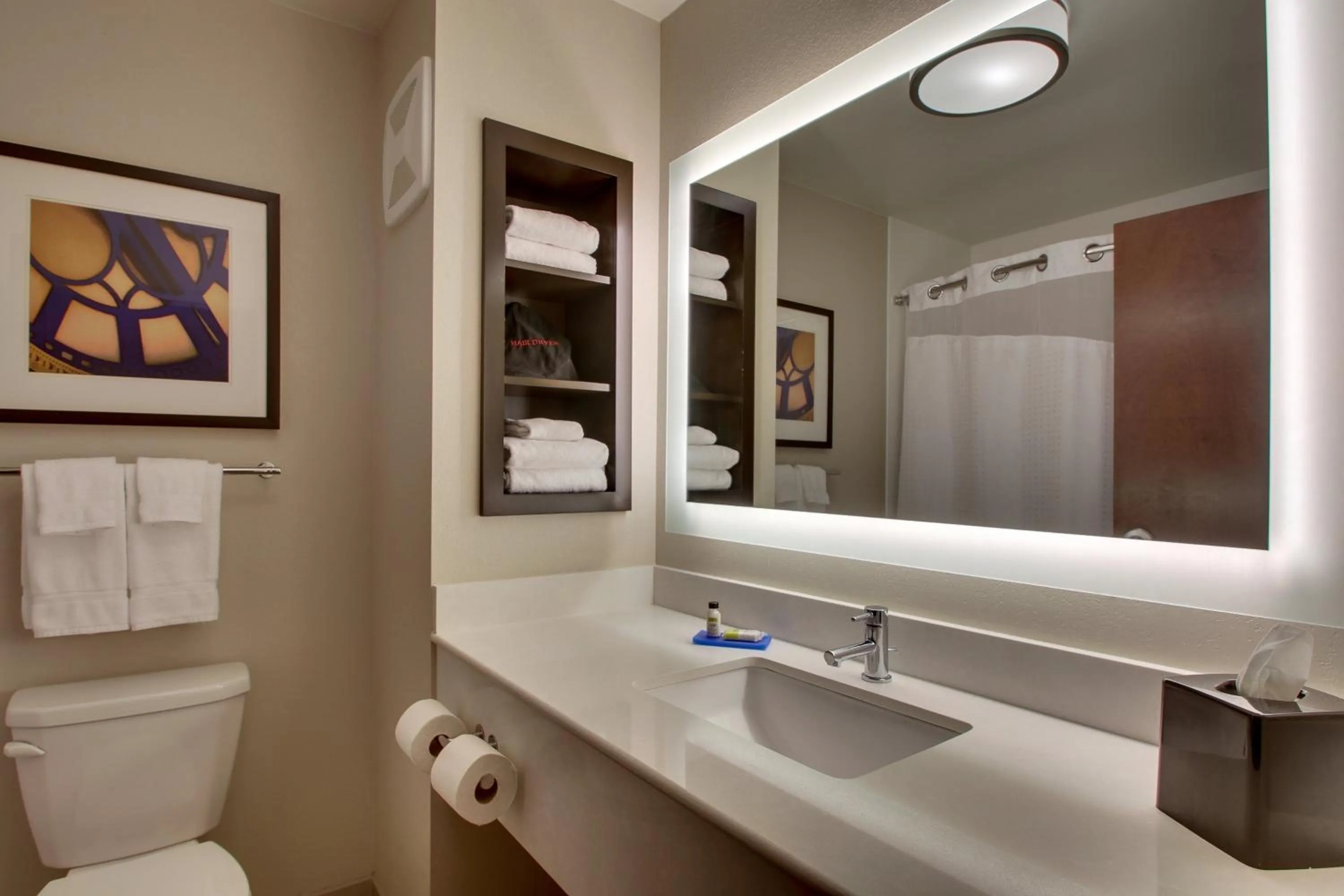 Bathroom in Holiday Inn Express & Suites Lancaster East - Strasburg by IHG