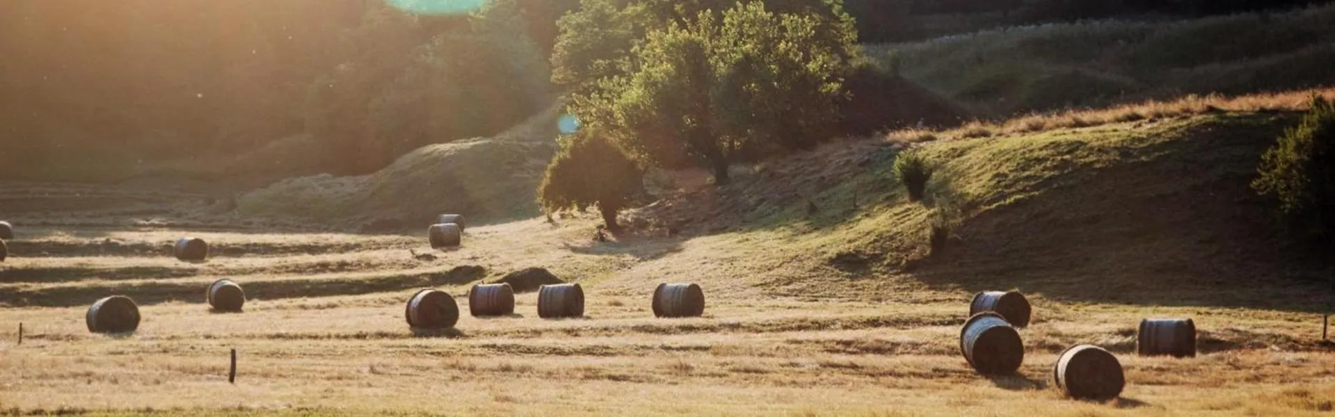 Garden in Albergo Diffuso "Col Gentile" Socchieve