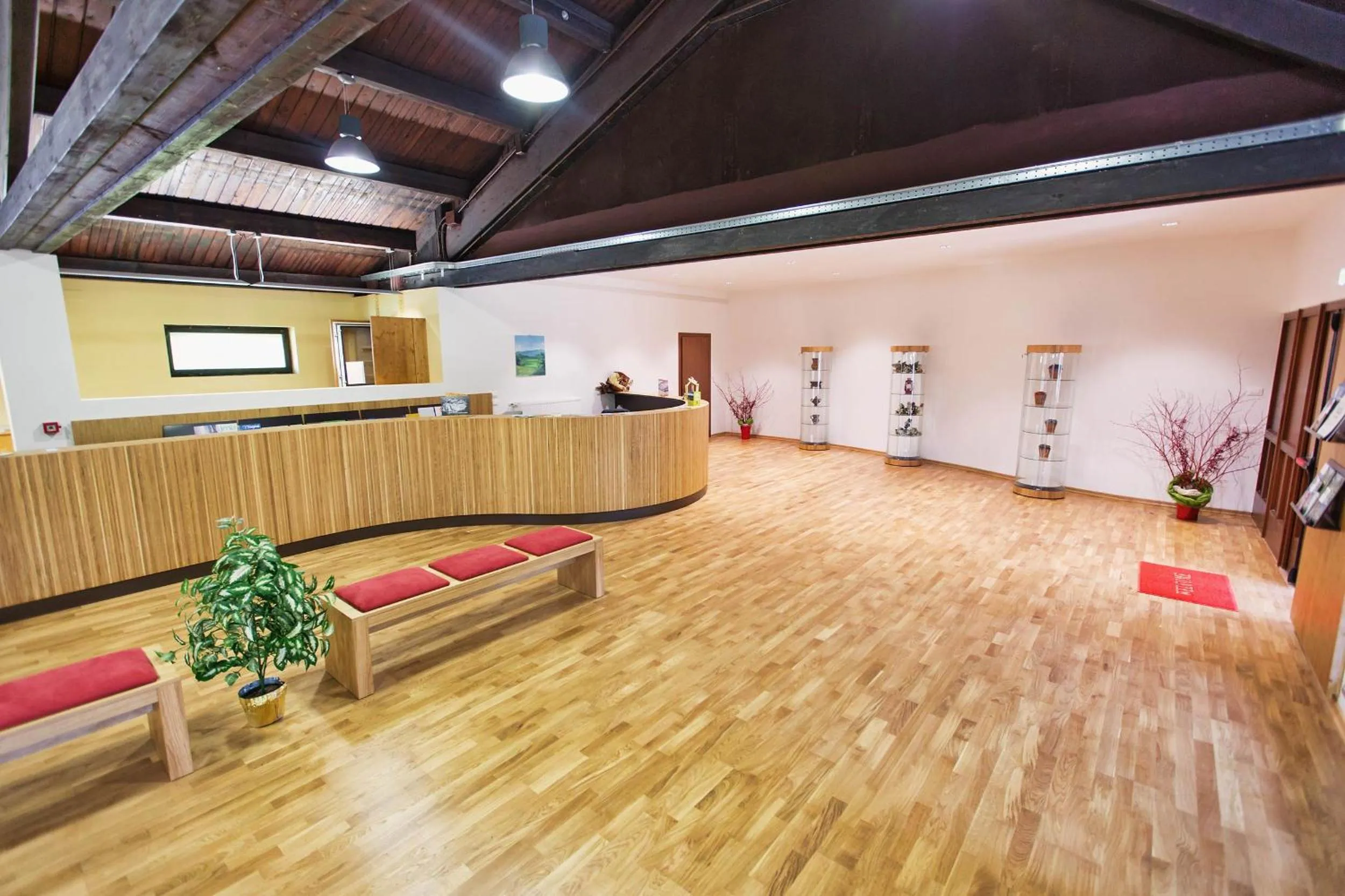 Lobby or reception in Albergo Diffuso "Col Gentile" Socchieve