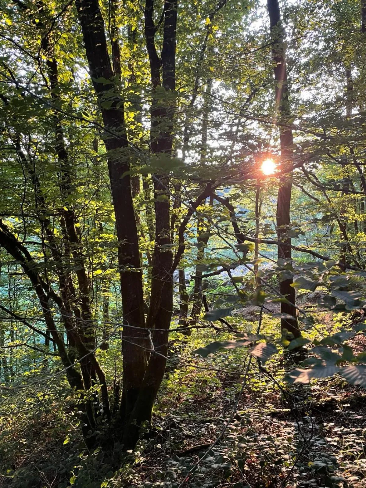 Natural landscape in La Reduiste