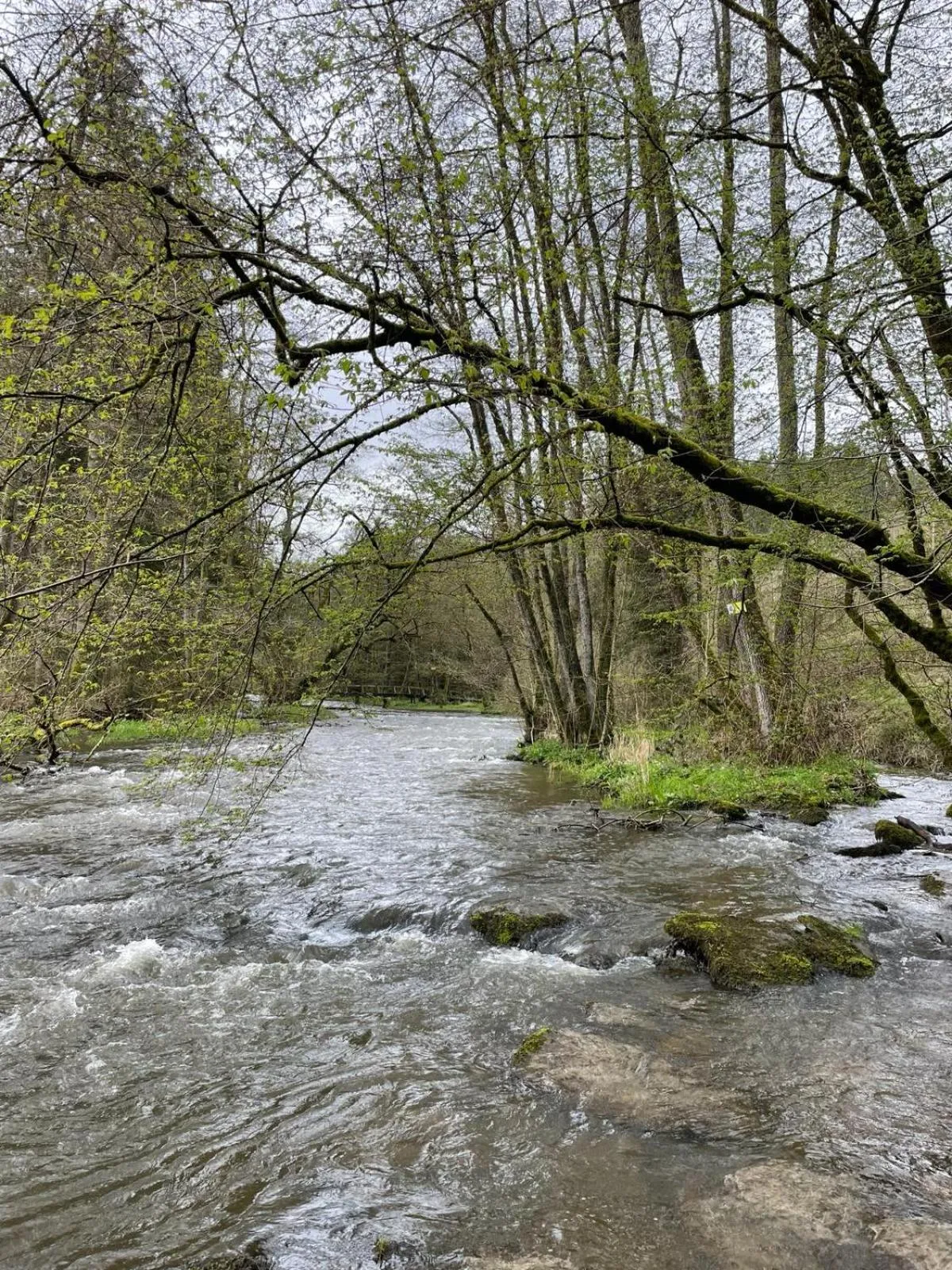 Natural landscape in La Reduiste