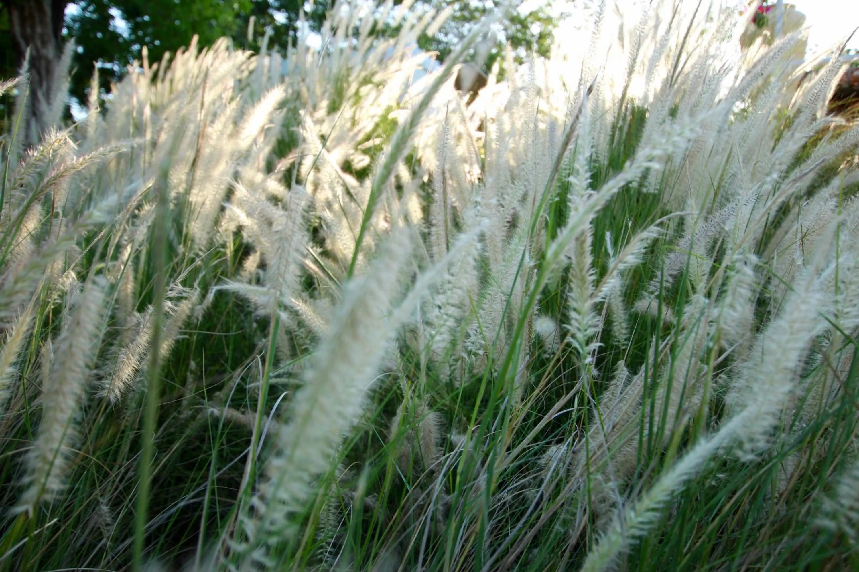 Natural landscape in The Zubeida Boutique Resort