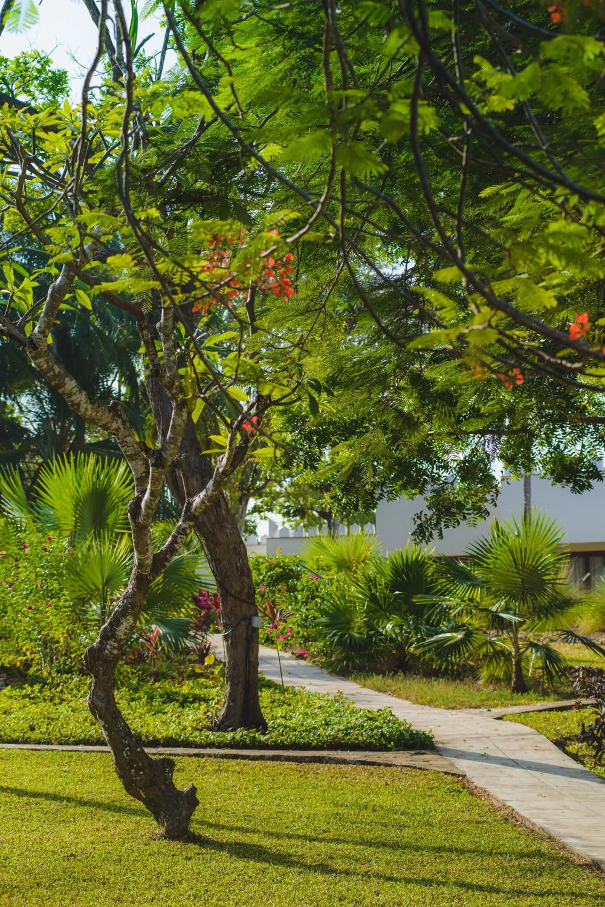 Garden in The Zubeida Boutique Resort