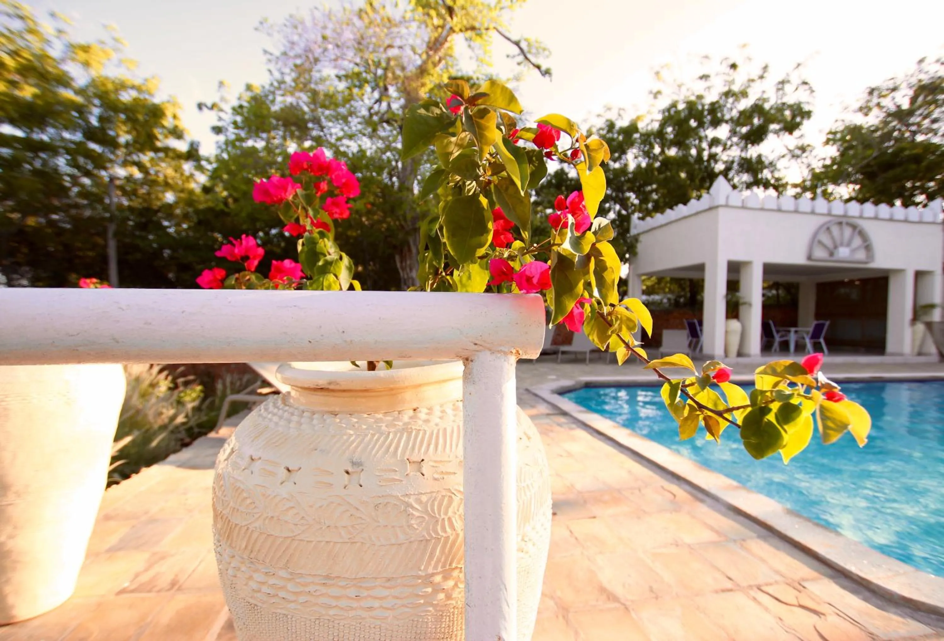 Food and drinks in The Zubeida Boutique Resort