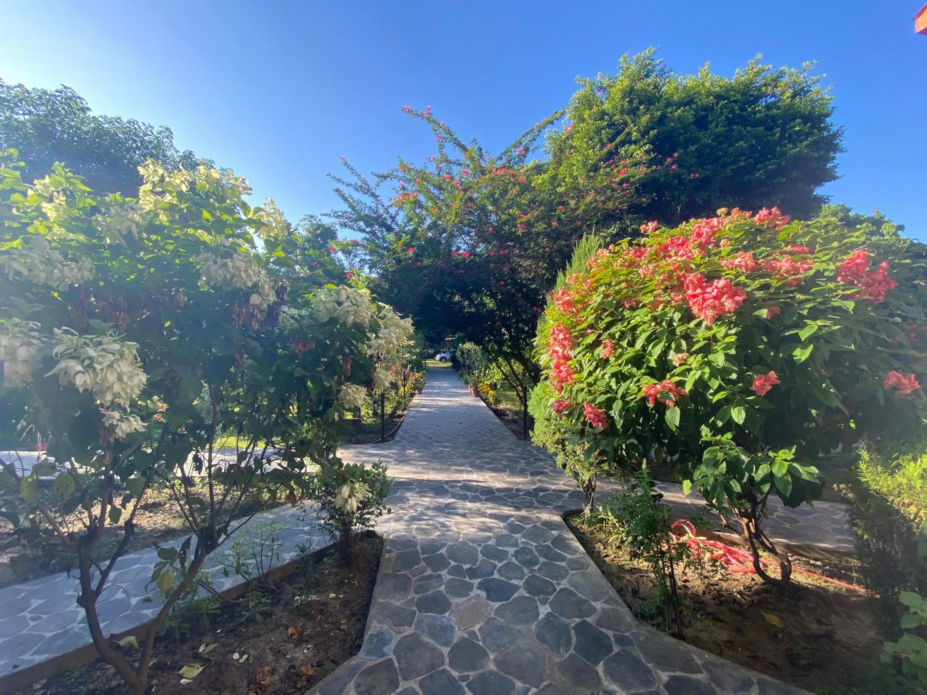 Garden view in Chautari Garden Resort