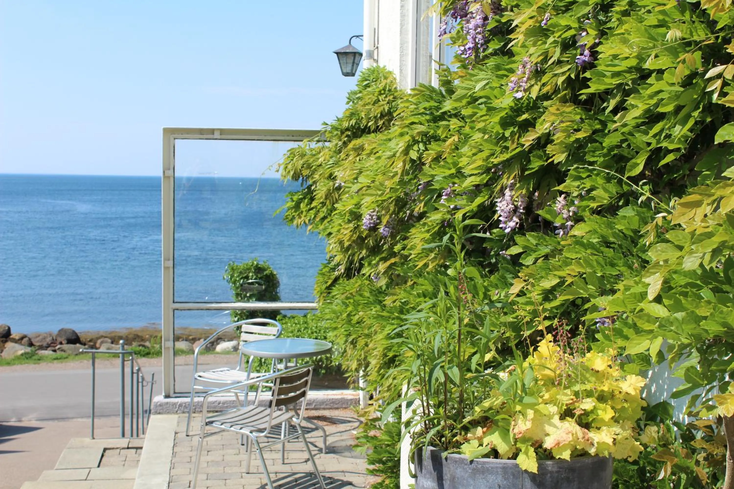 Patio in Pensionat Strandgården