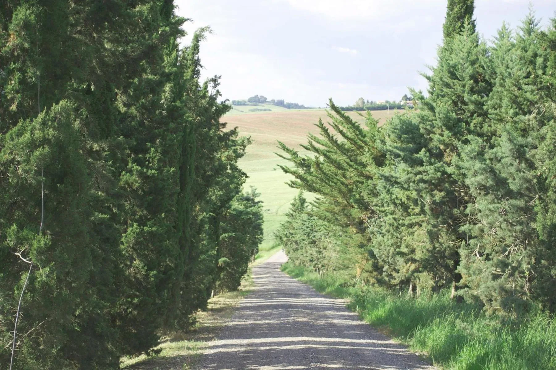 Natural landscape in Residence Giuly Rosselmini