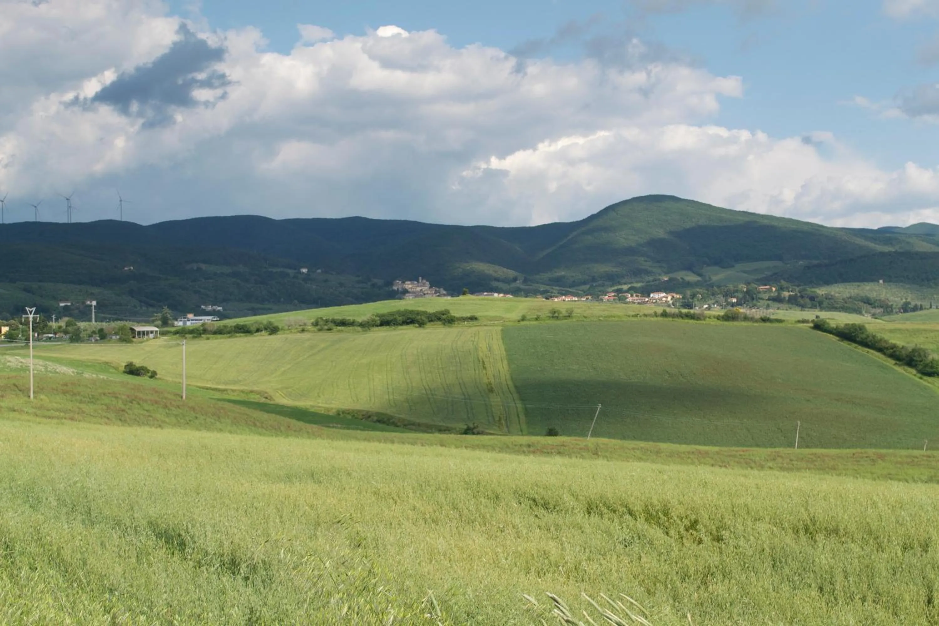 Other in Residence Giuly Rosselmini