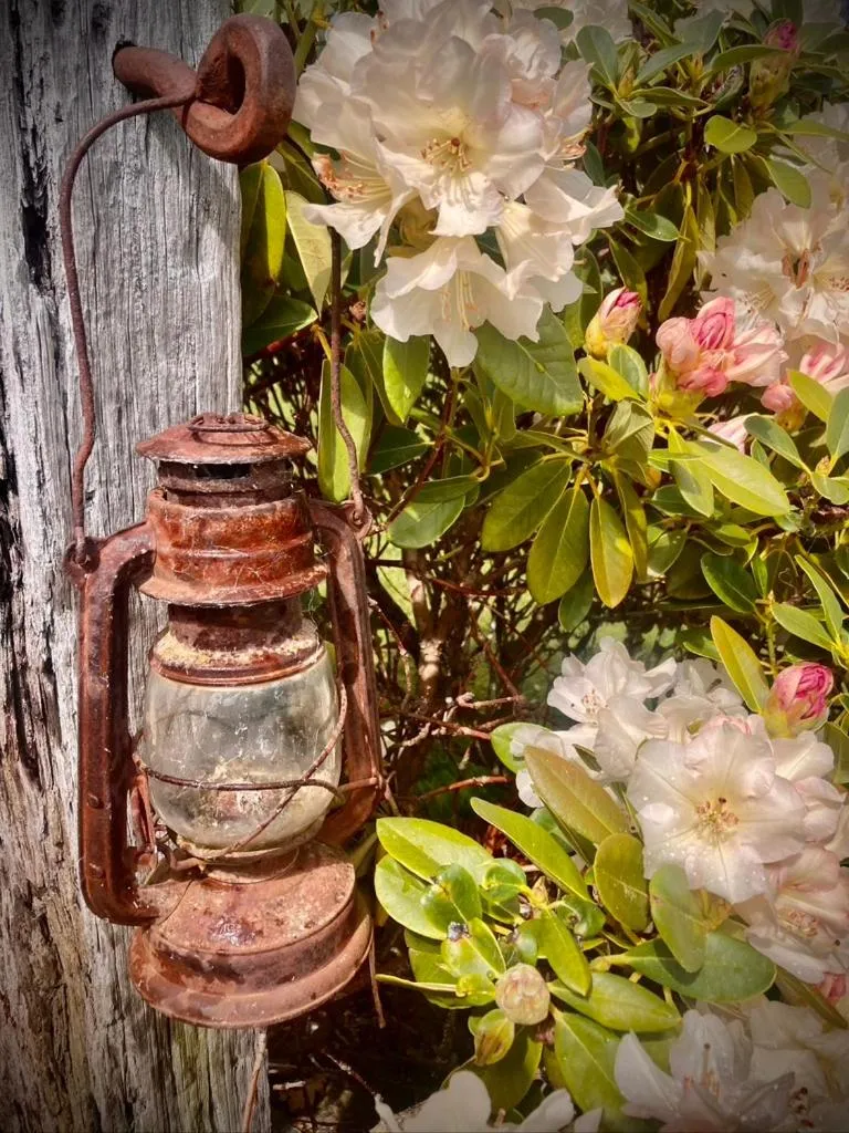 Garden in Three Thirty B & B