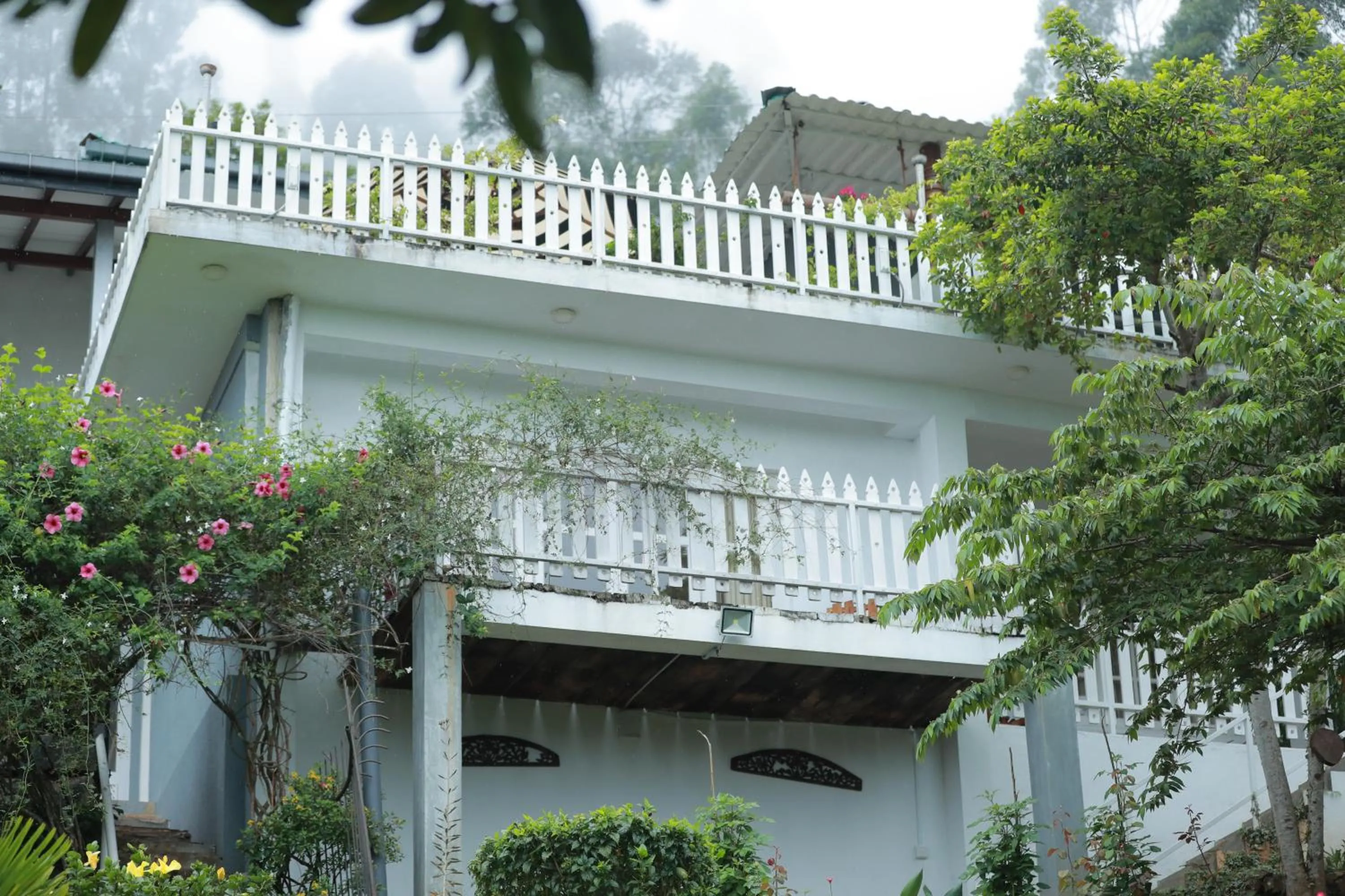 Garden in Villa Perpetua