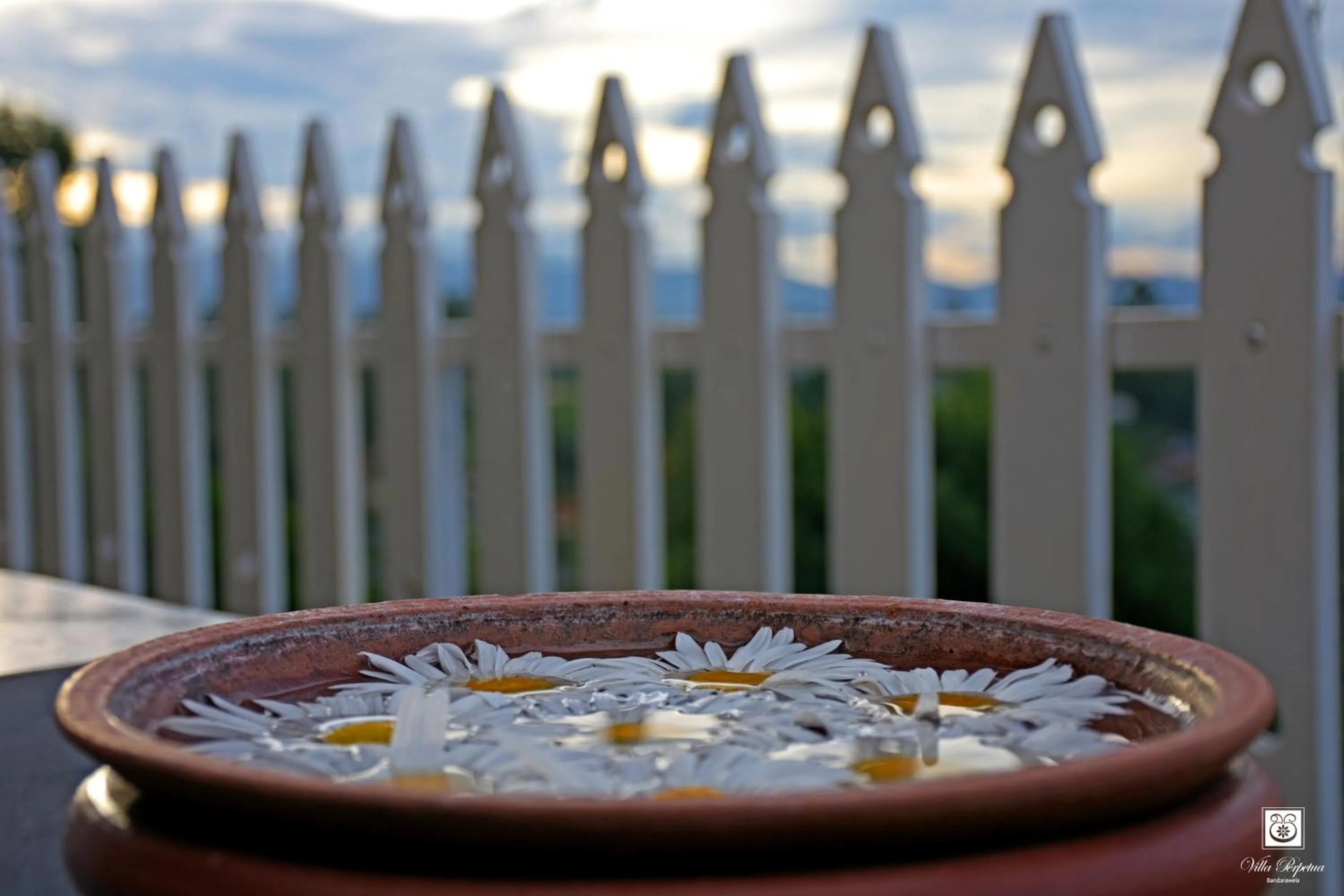 Spa and wellness centre/facilities in Villa Perpetua