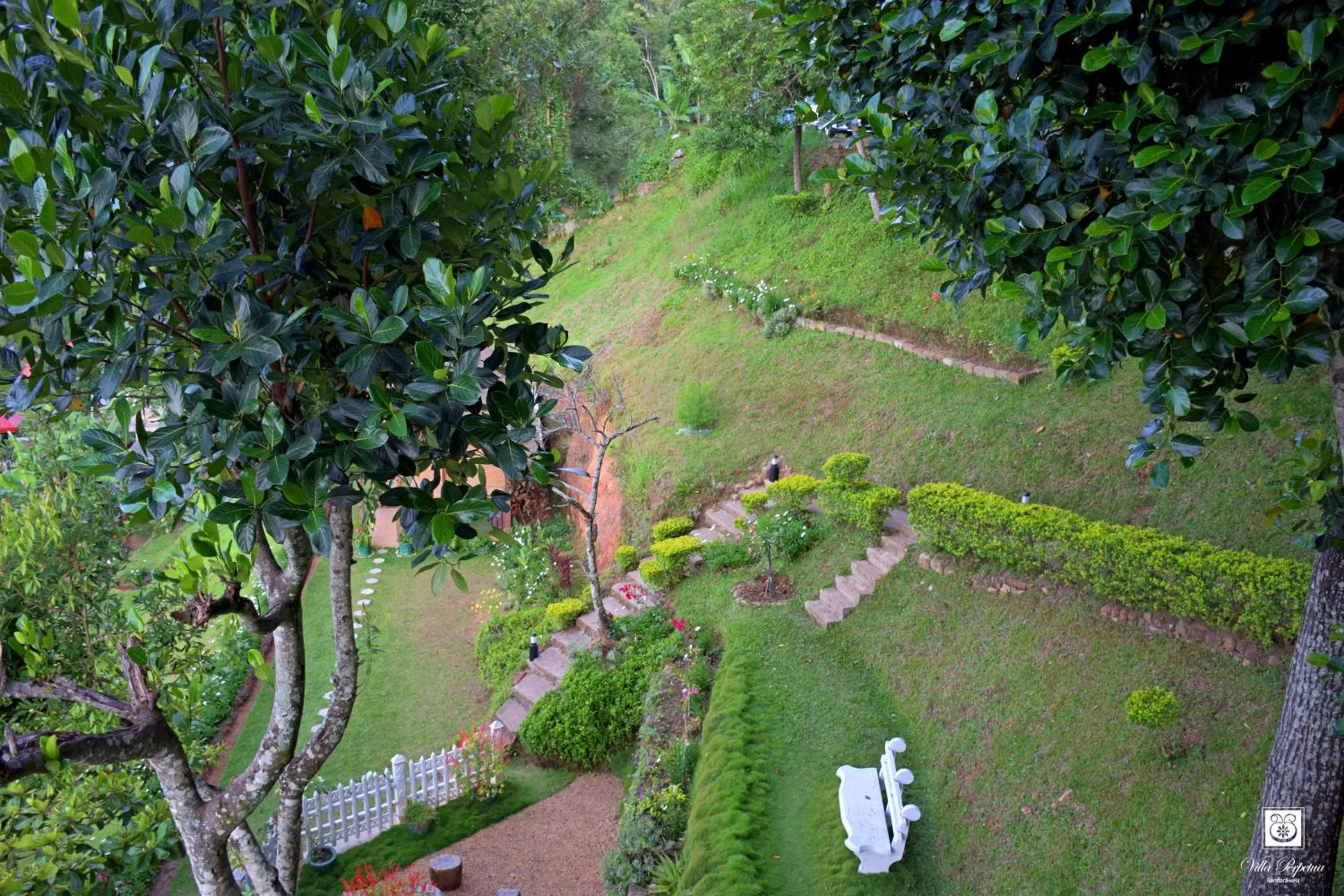 Garden in Villa Perpetua