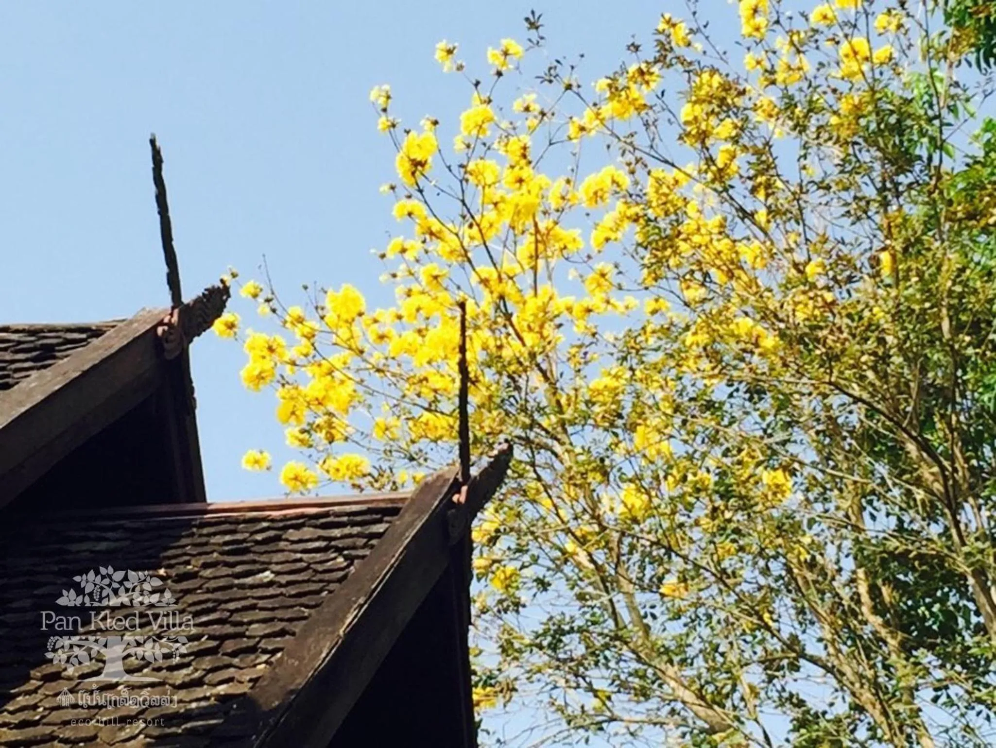 Balcony/Terrace in PAN KLED VILLA eco hill resort