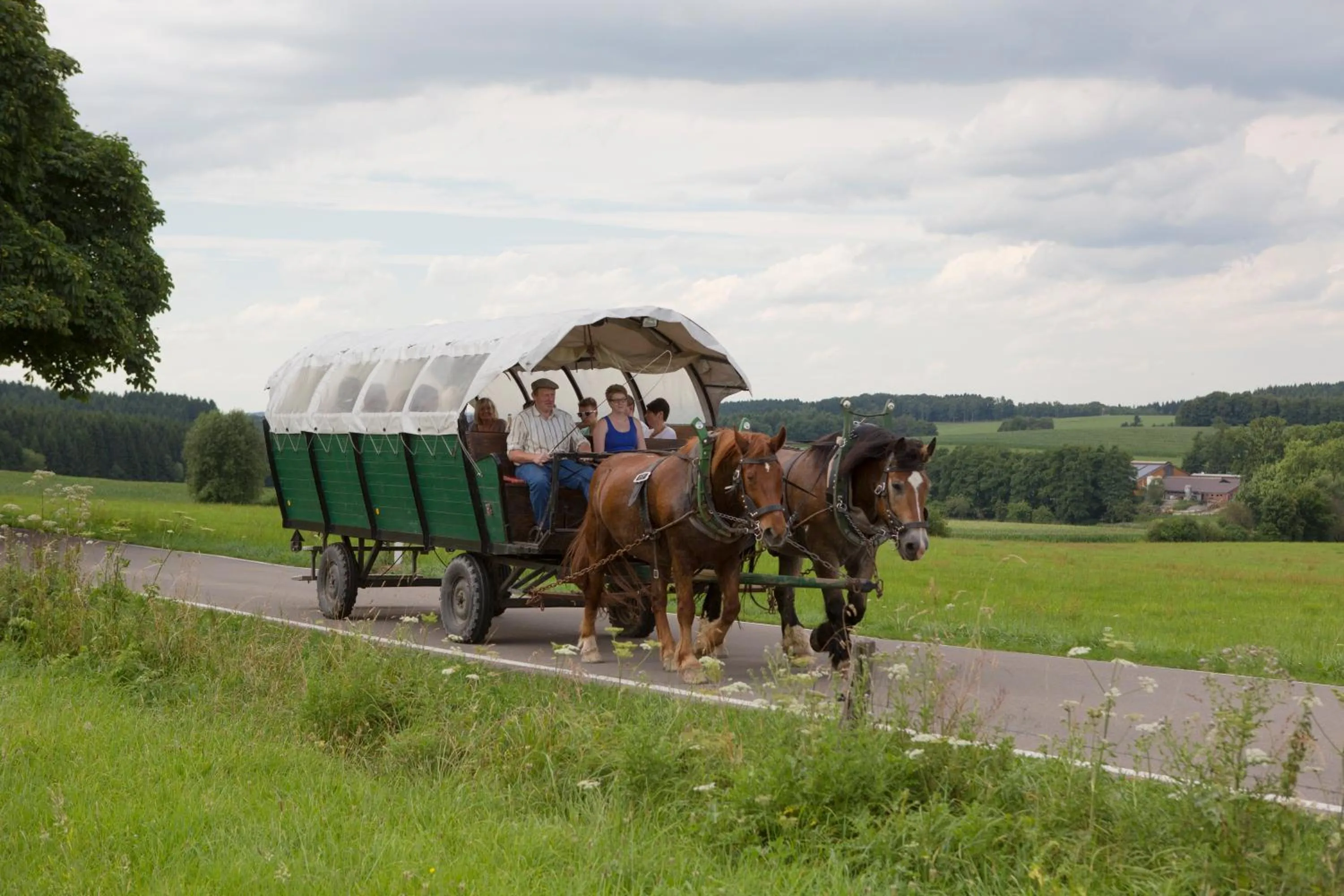 Natural landscape in Landgasthof Tönnes