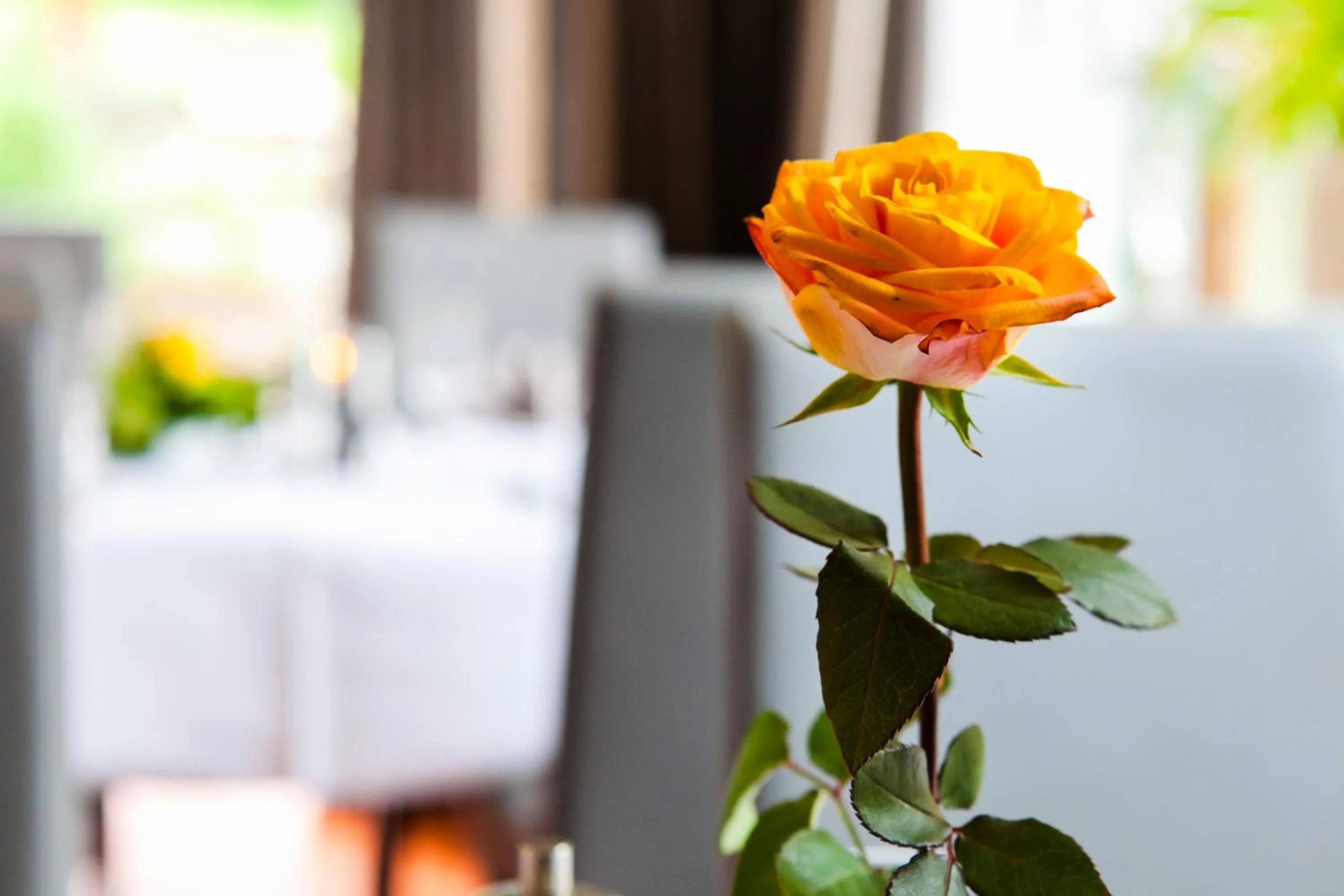 Restaurant/places to eat in Landgasthof Tönnes