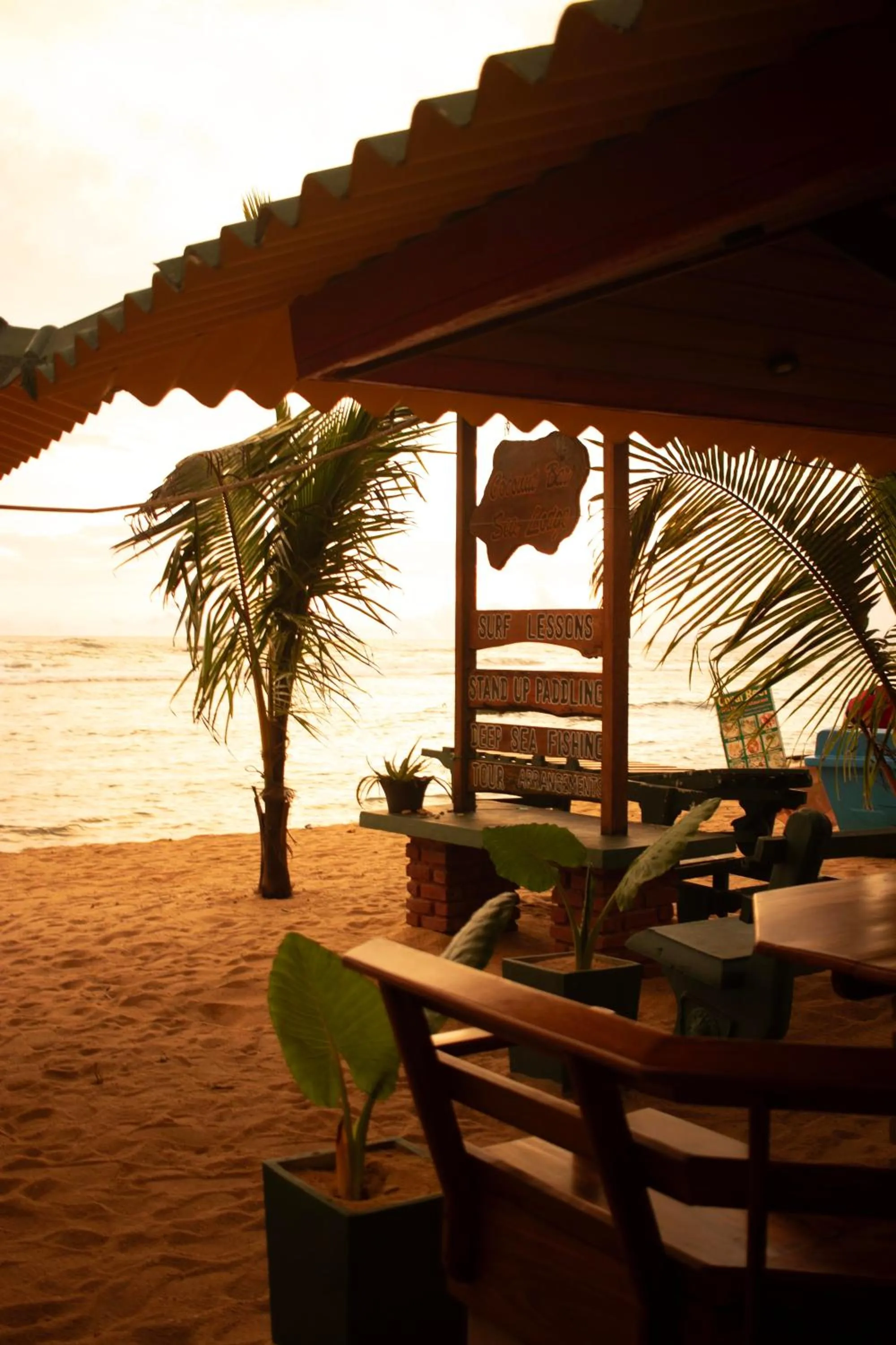 Natural landscape in Hotel Coconut Bar Sea Lodge