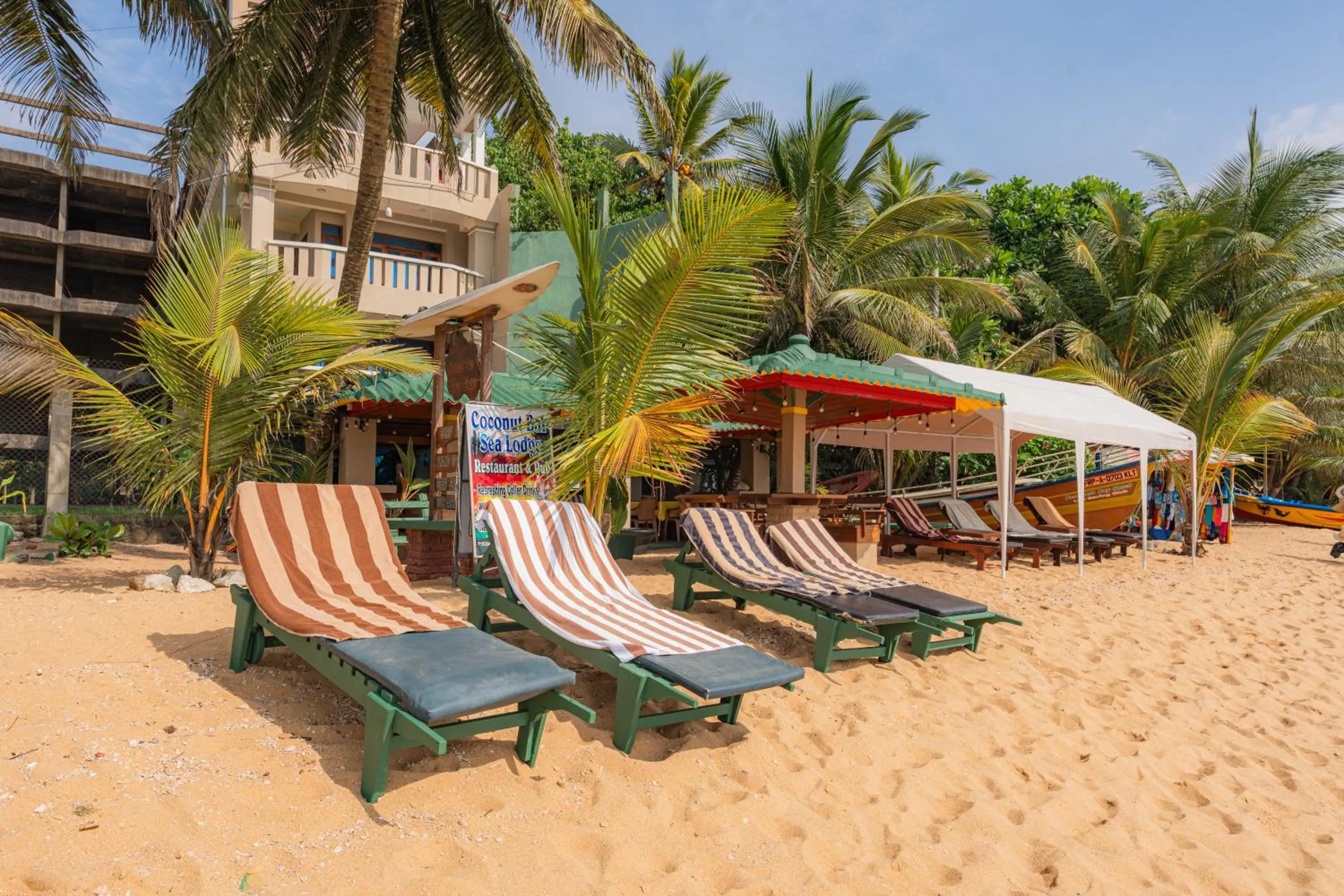 Natural landscape in Hotel Coconut Bar Sea Lodge