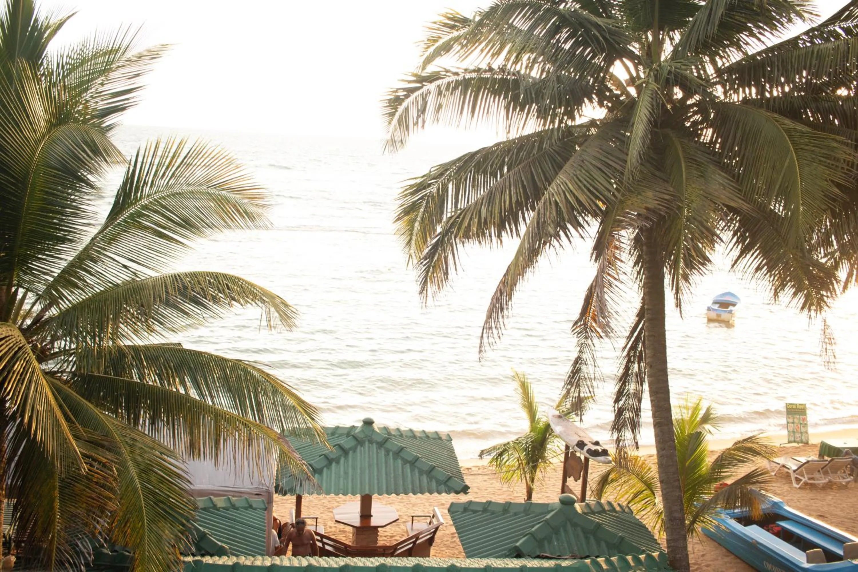 Natural landscape in Hotel Coconut Bar Sea Lodge