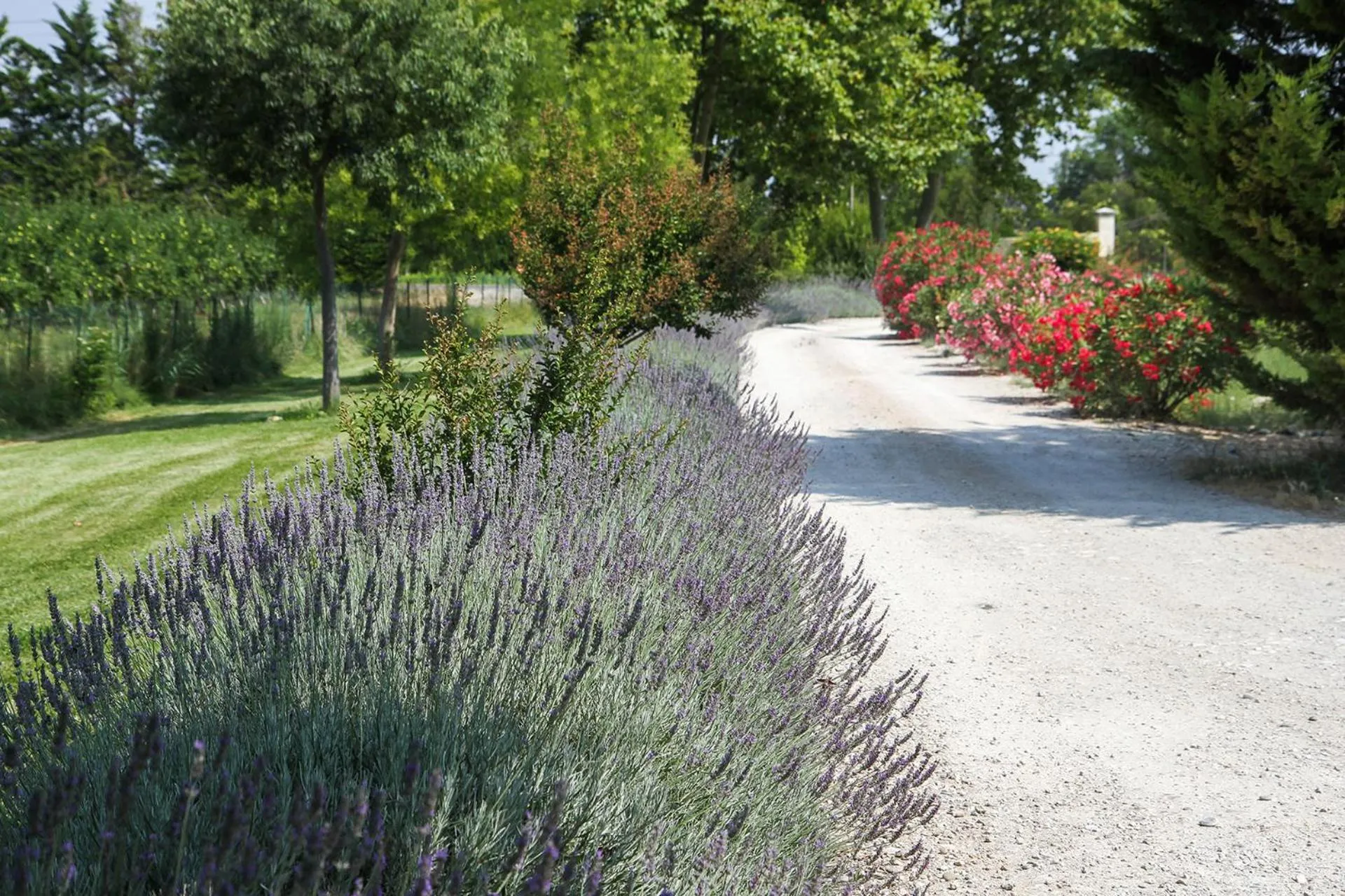 Garden view in Les Carmes and spa