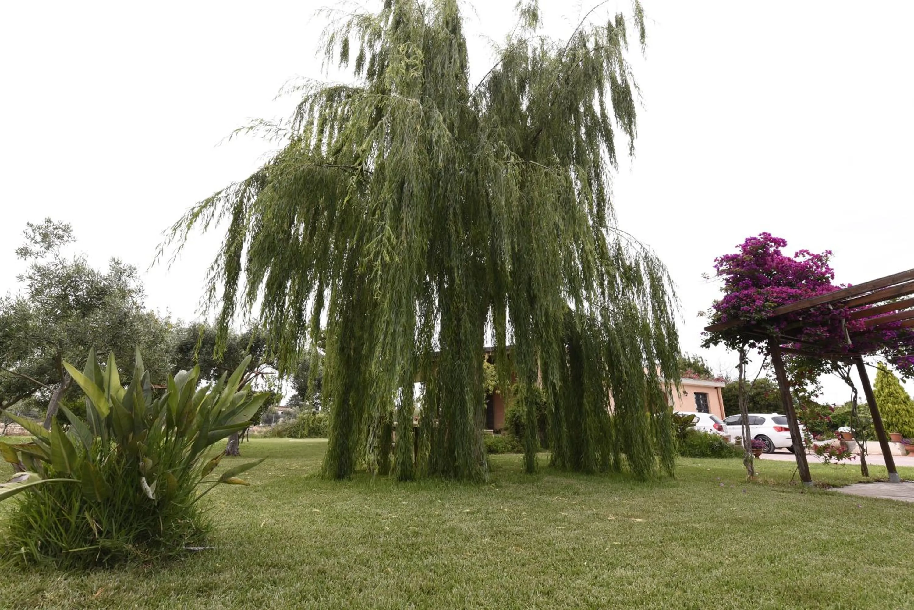 Property building in La Casa Dei Sogni