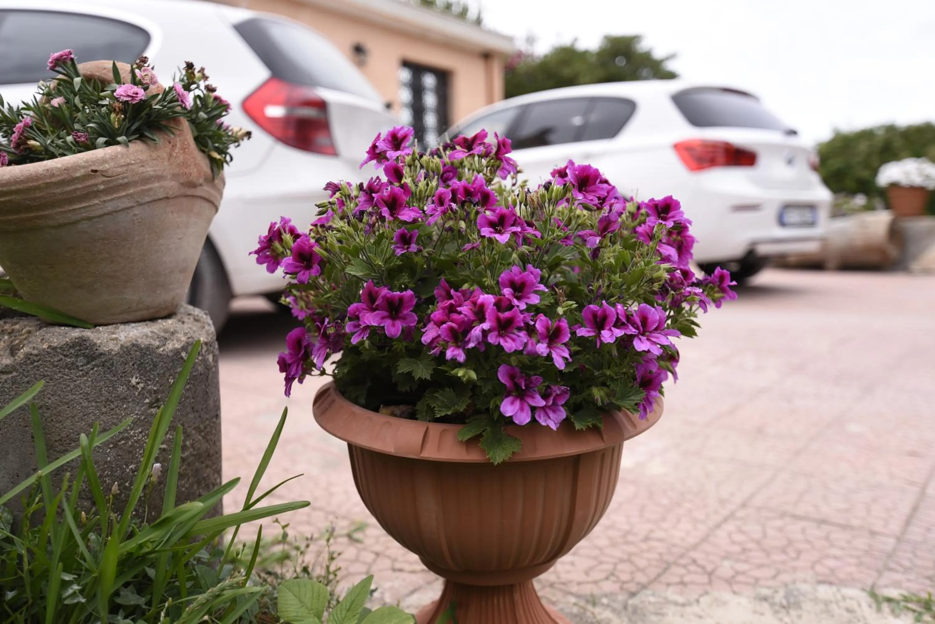 Property building in La Casa Dei Sogni