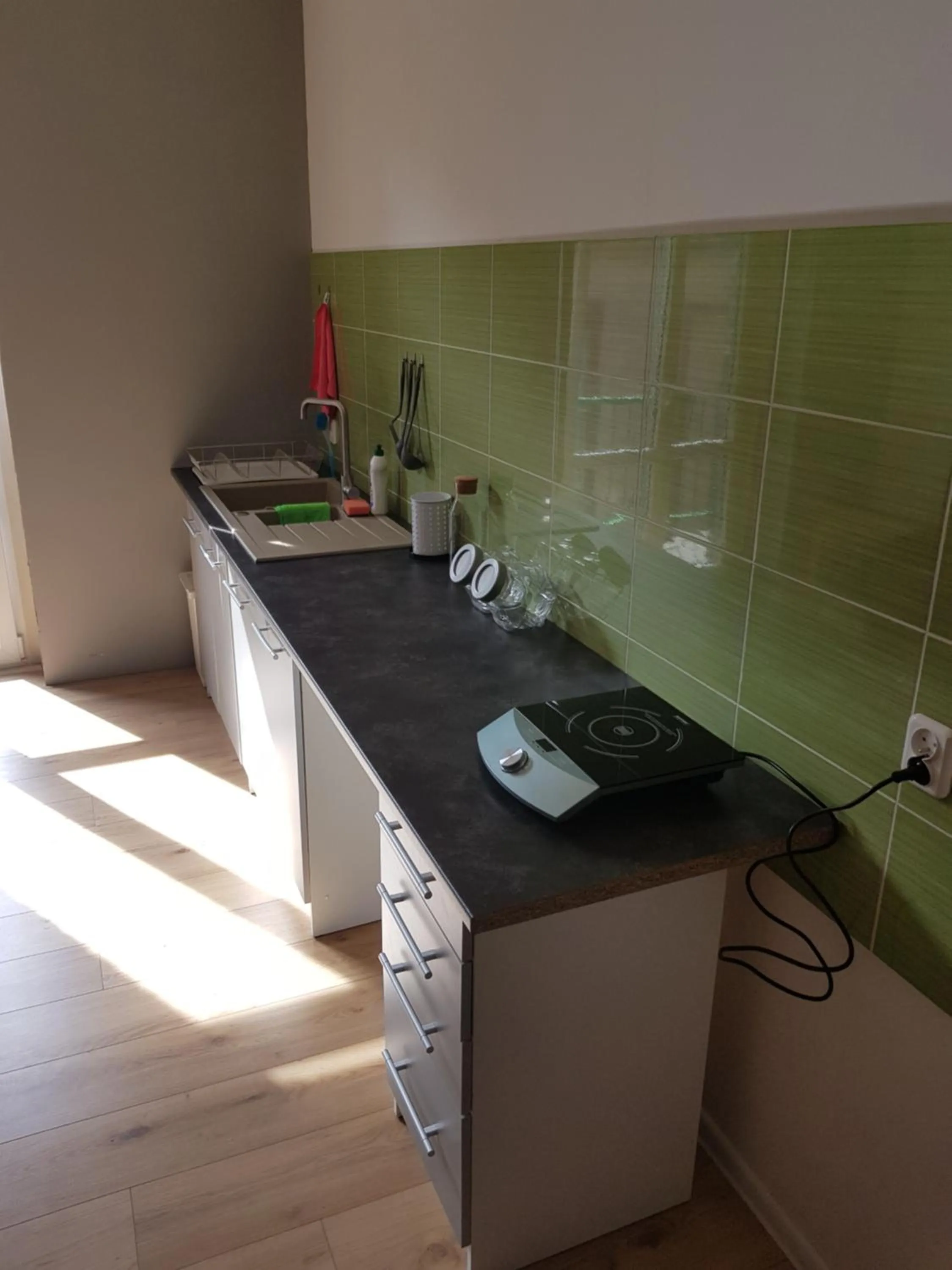 Kitchen or kitchenette in Kaktus Guest House