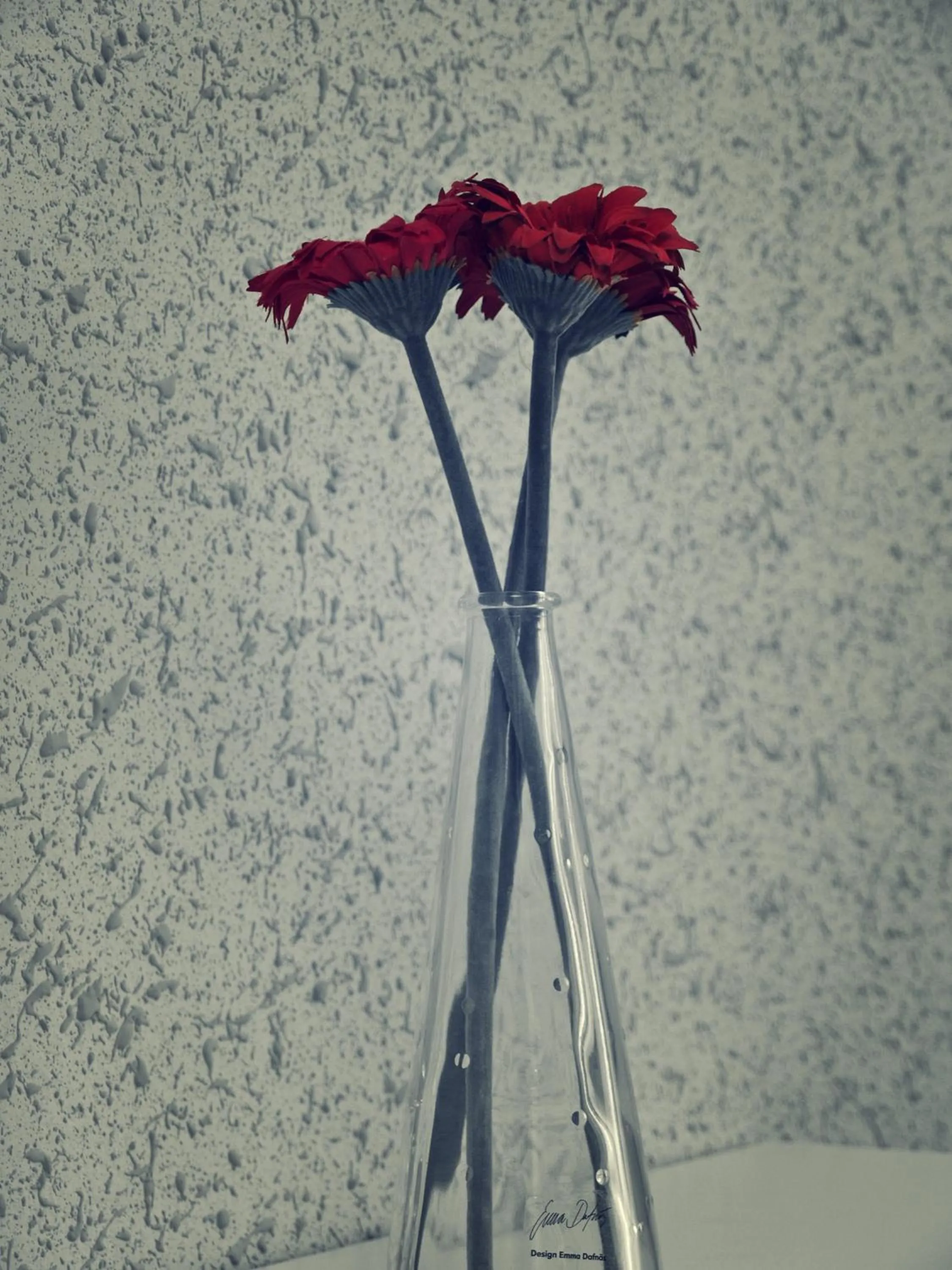 Other in Kaktus Guest House