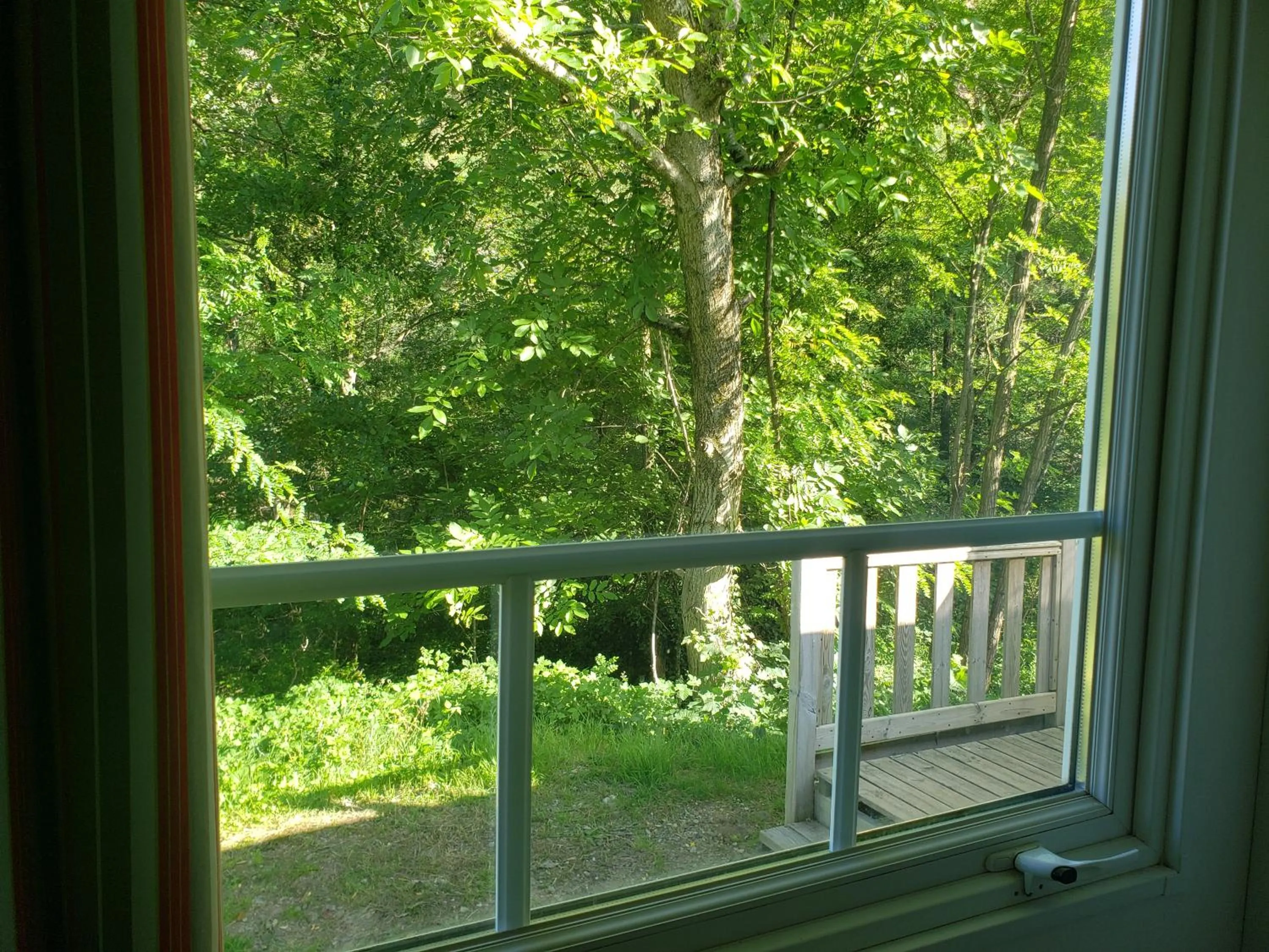 View (from property/room) in Le Moulin D'onclaire Camping et chambres d'hôtes