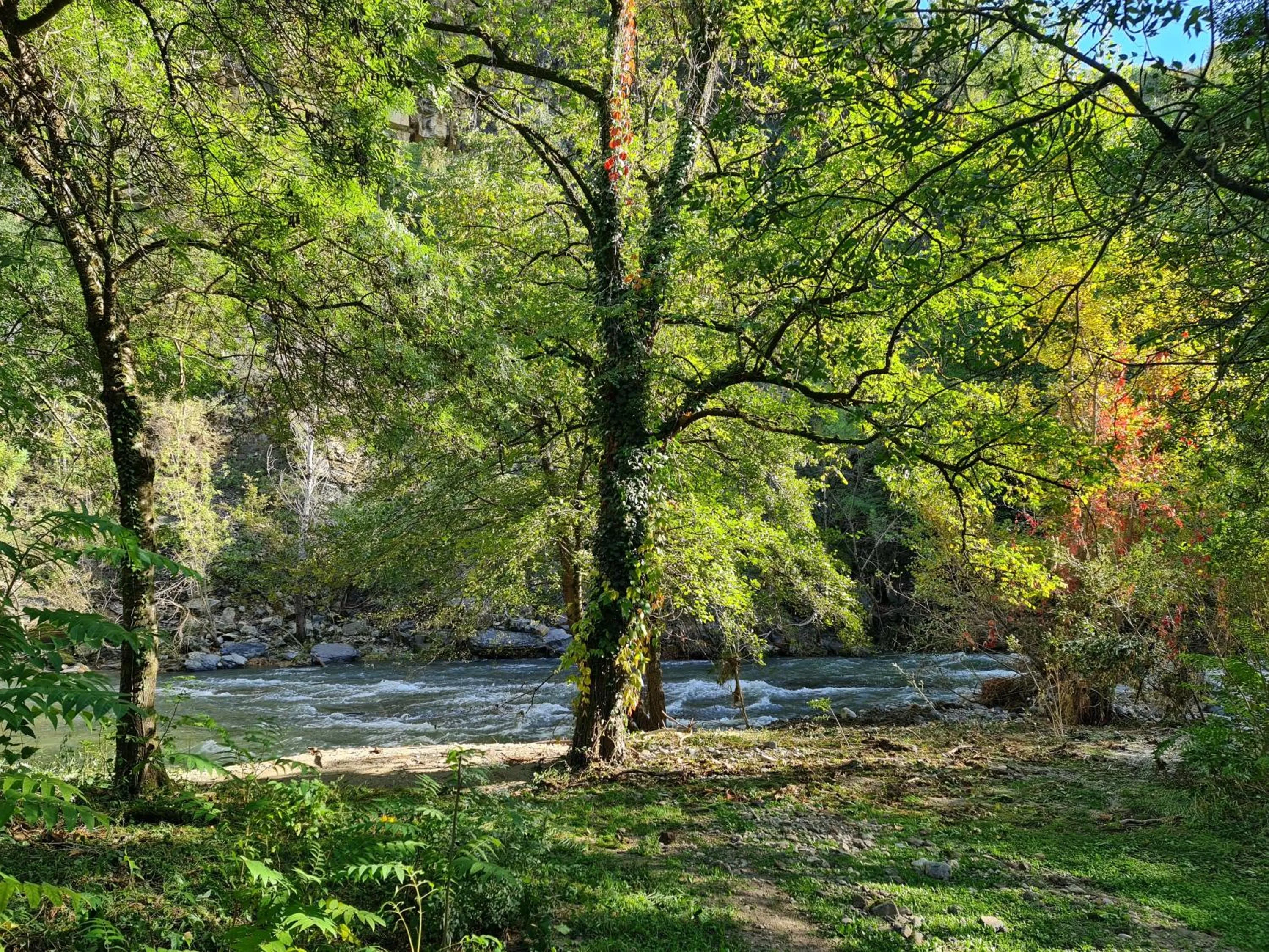 River view in Le Moulin D'onclaire Camping et chambres d'hôtes