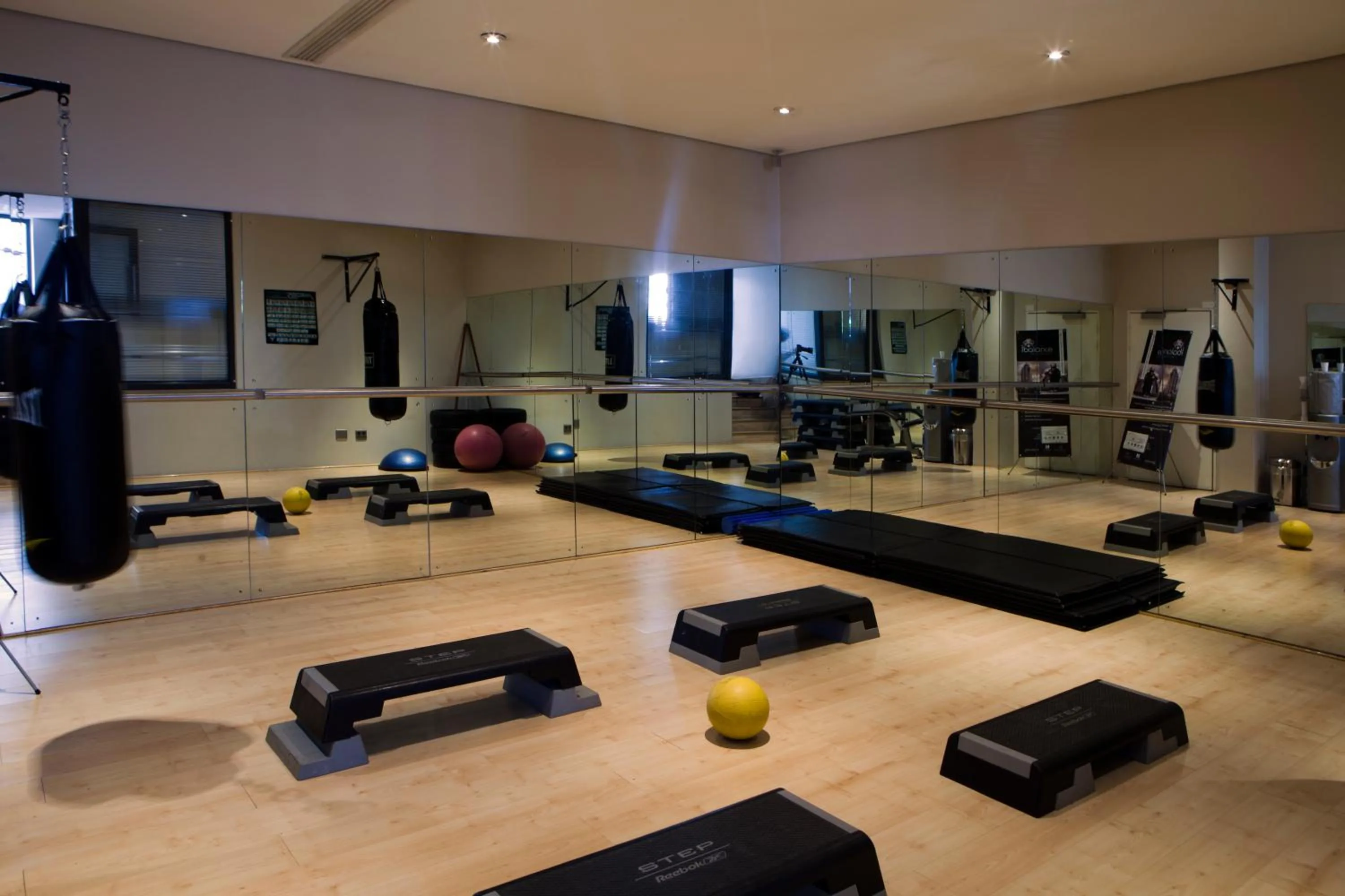 Fitness centre/facilities in Raphael Suites