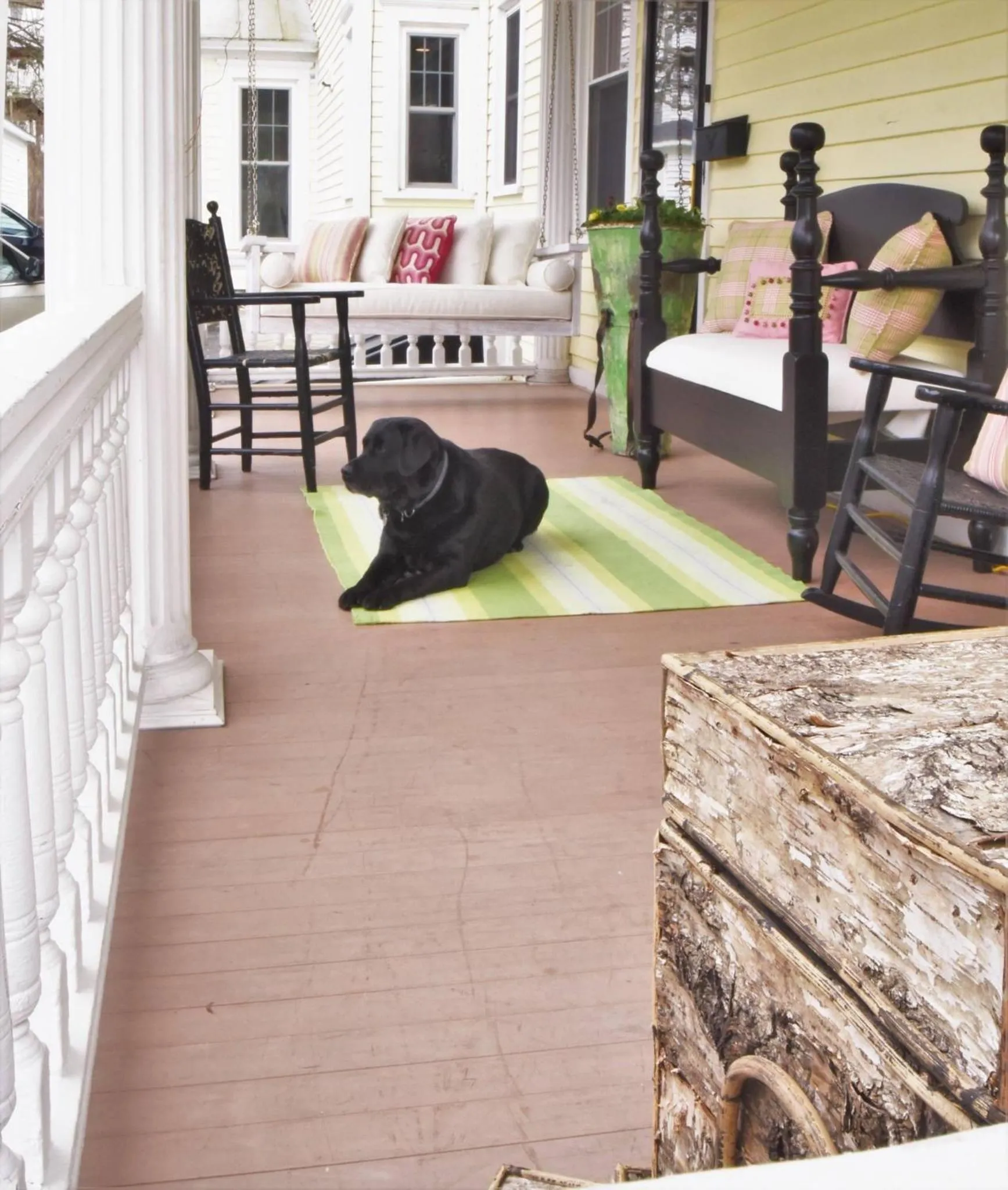 Pets in 34 State "Historic Luxury Suites" Skaneateles