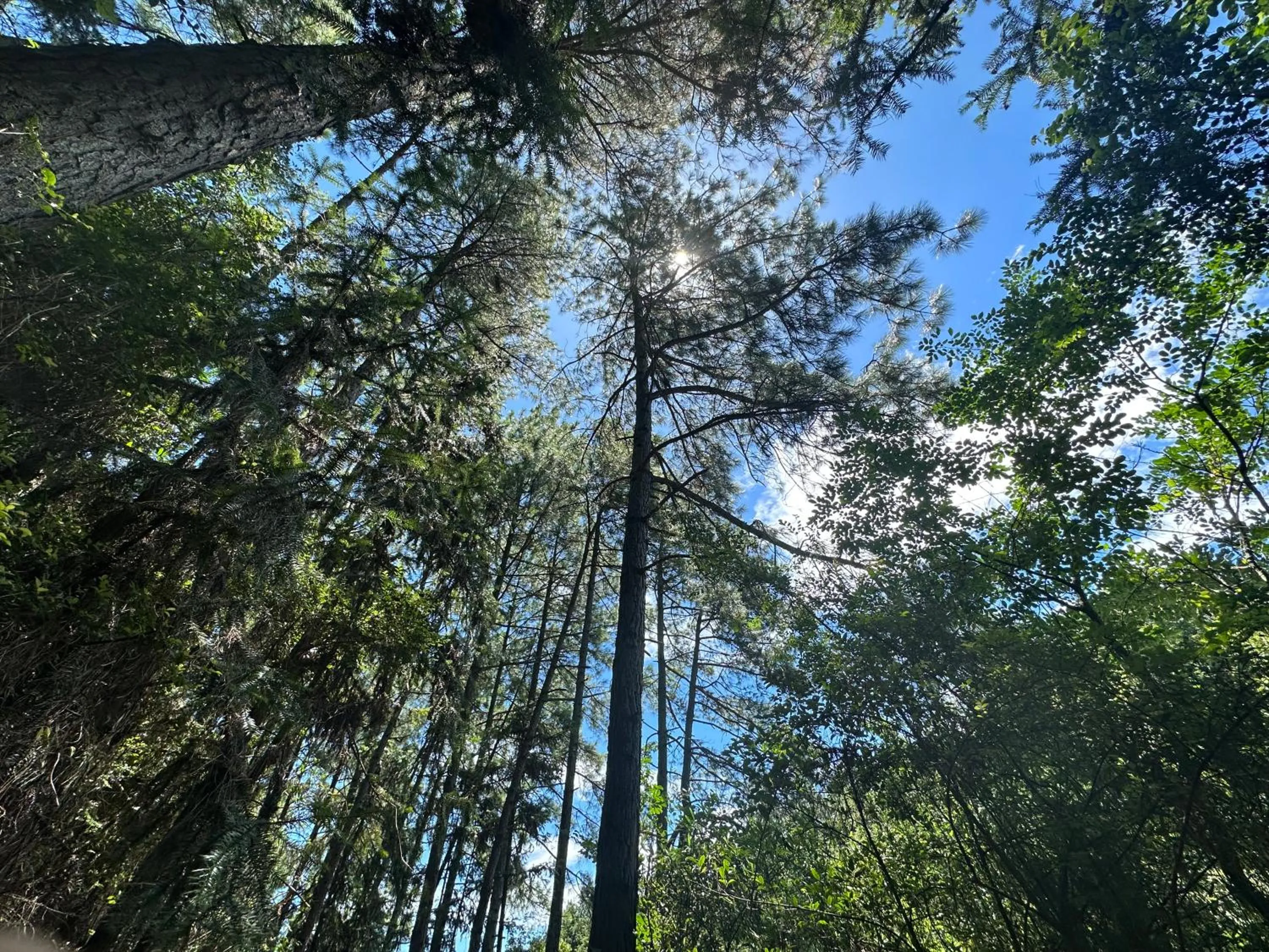 Natural landscape in LakeSide Resort Jingdezhen