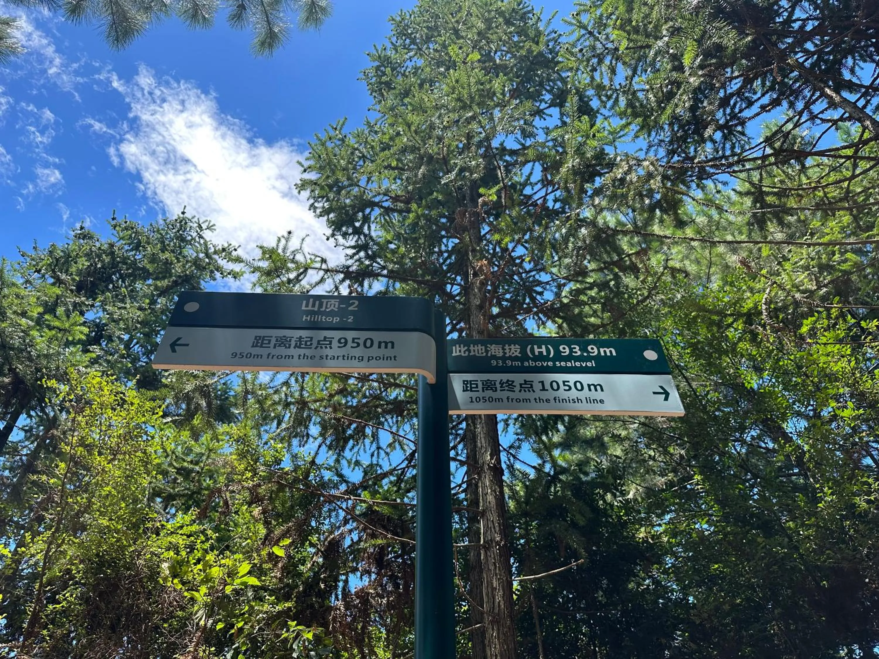 Natural landscape in LakeSide Resort Jingdezhen