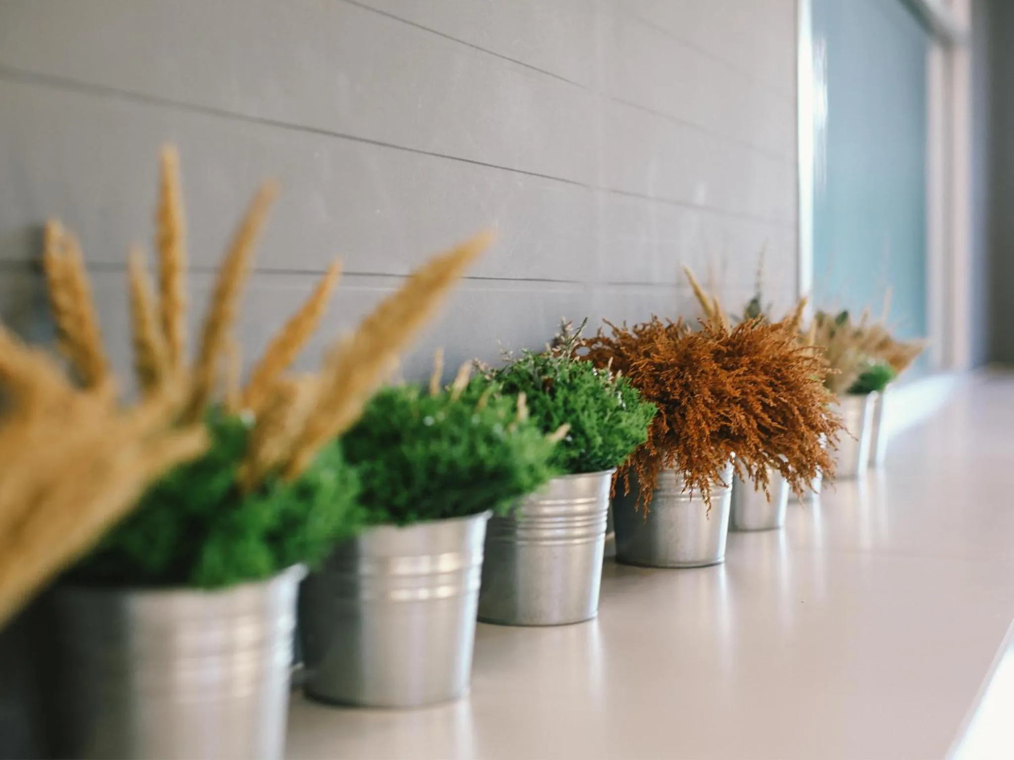 Restaurant/places to eat in Sleeping Well Chiangkhong