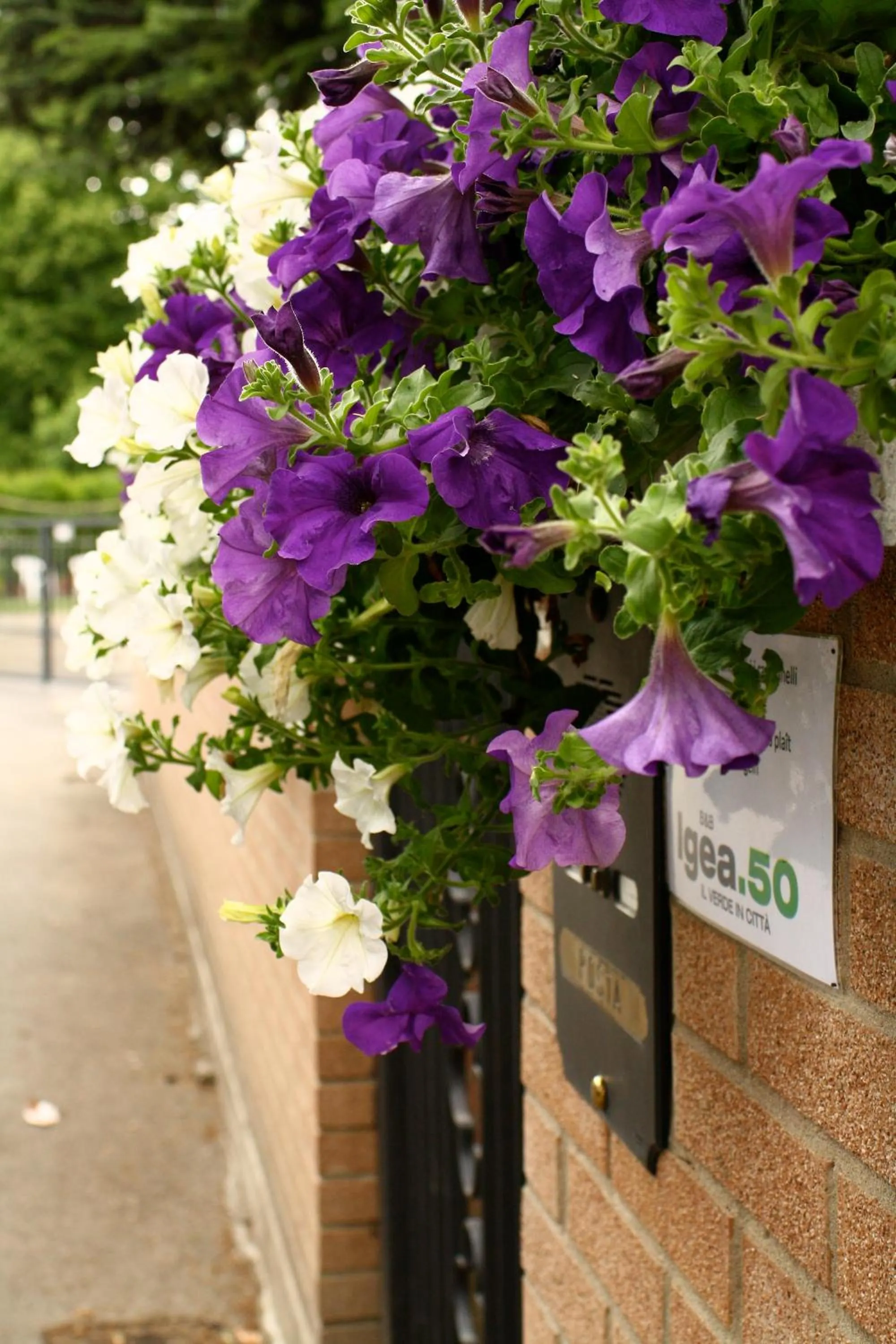 Street view in B&b Igea 50