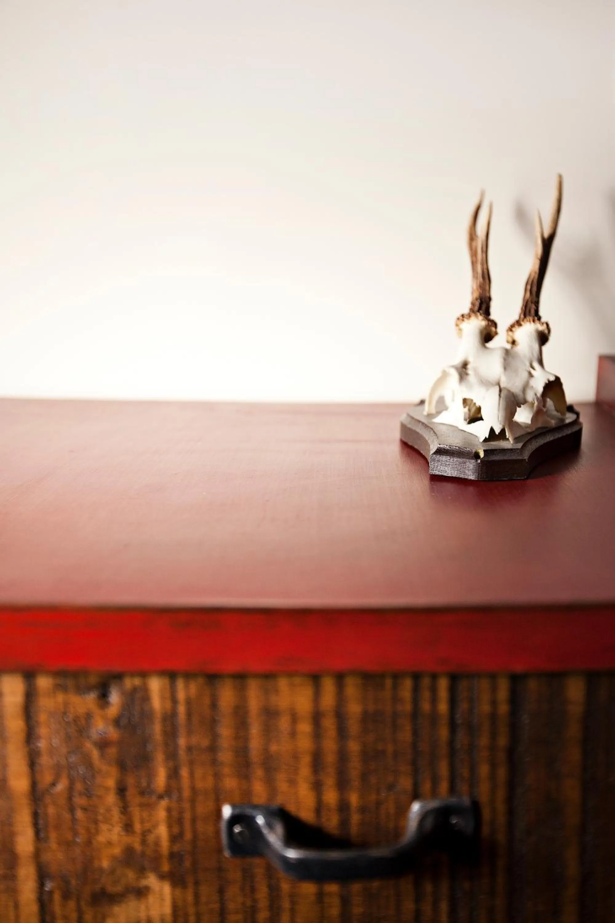 Decorative detail in B&b Igea 50