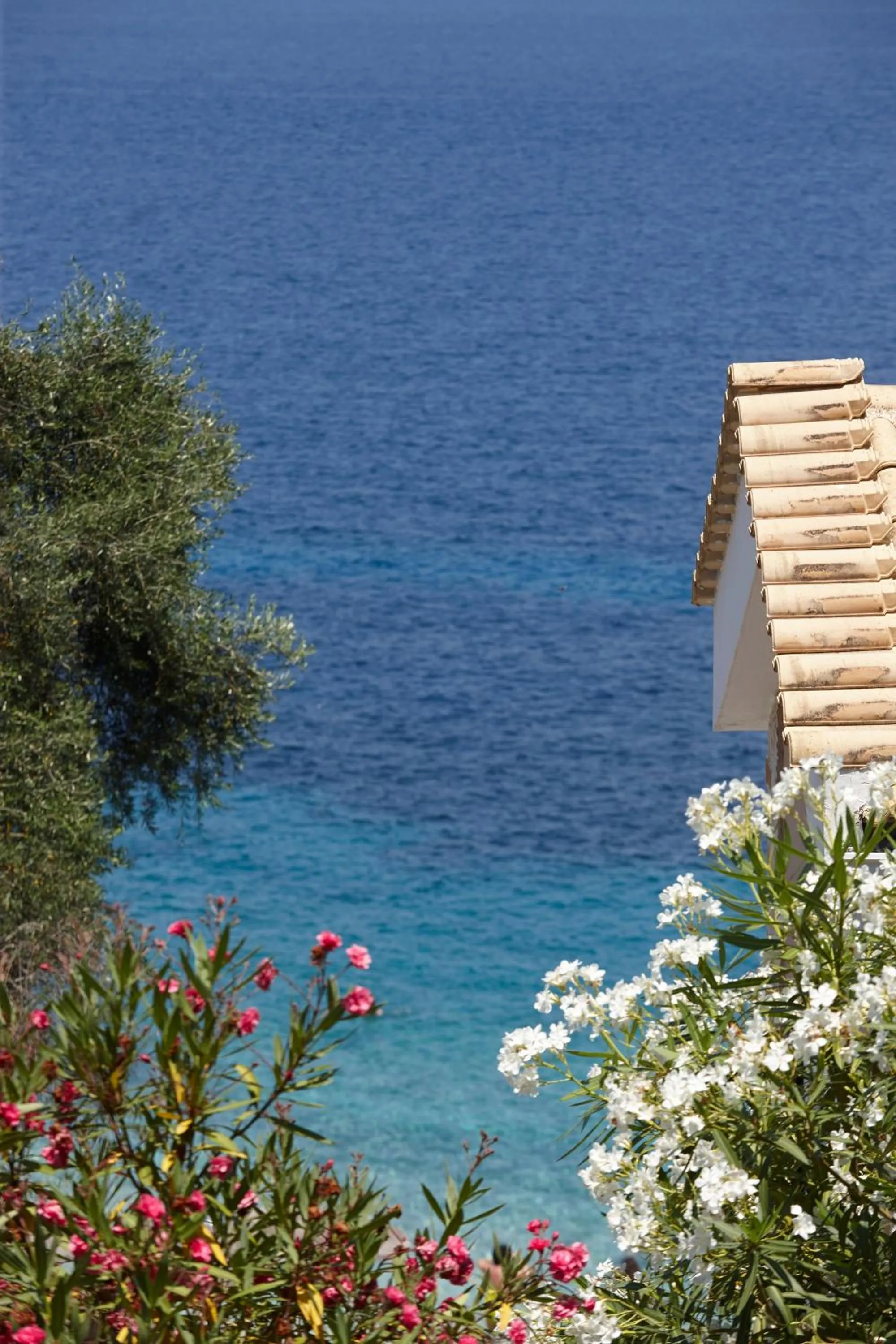 Day in Anassa Mare Villas & Residences