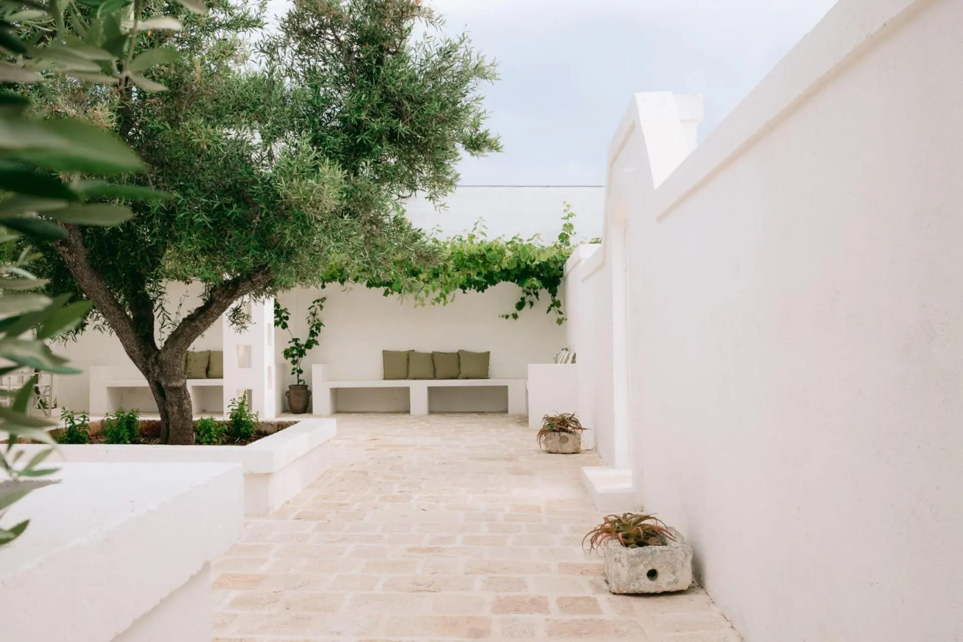 Property building in Oltre gli Ulivi