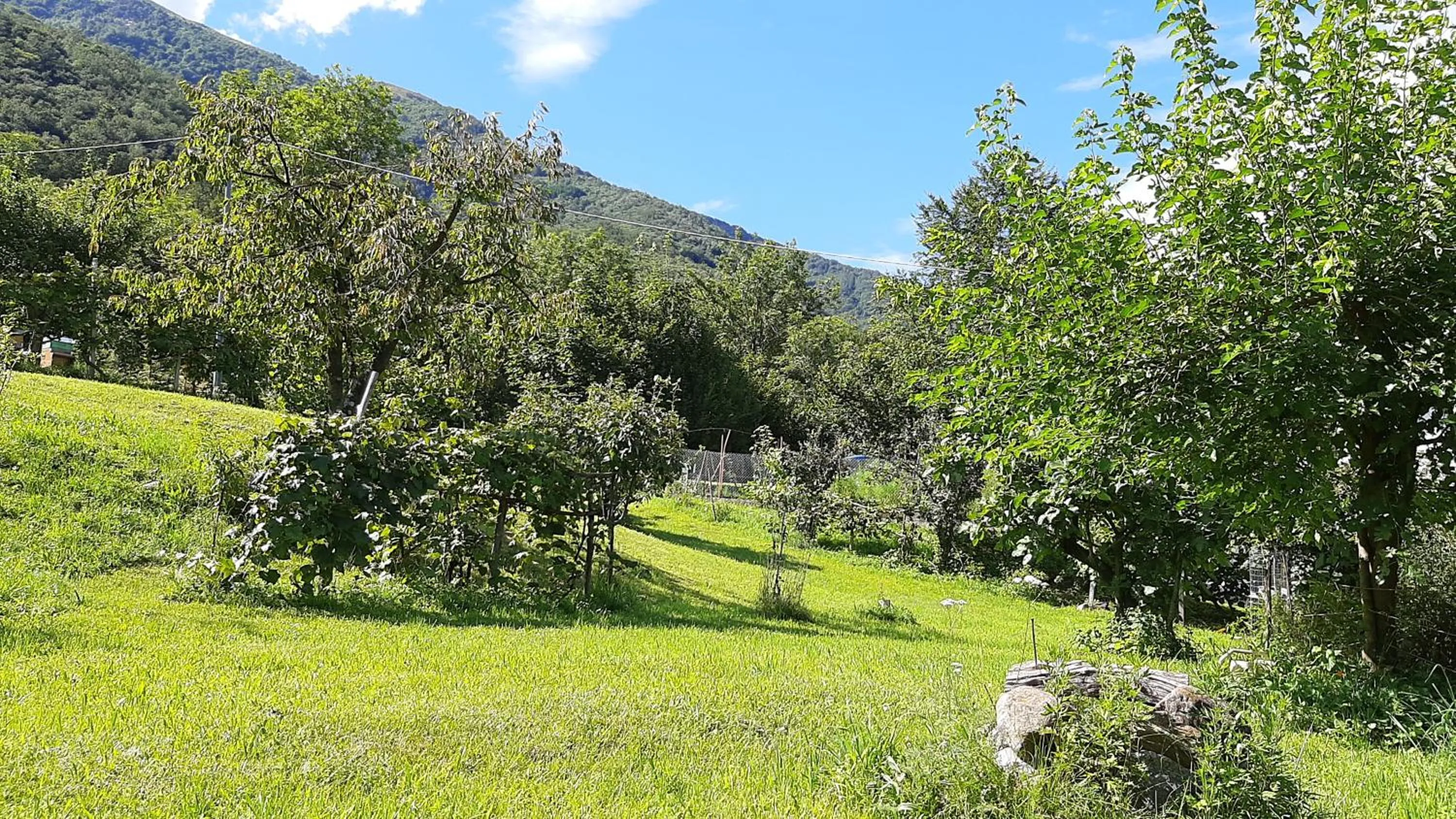 Garden in B&B Al Mutpron
