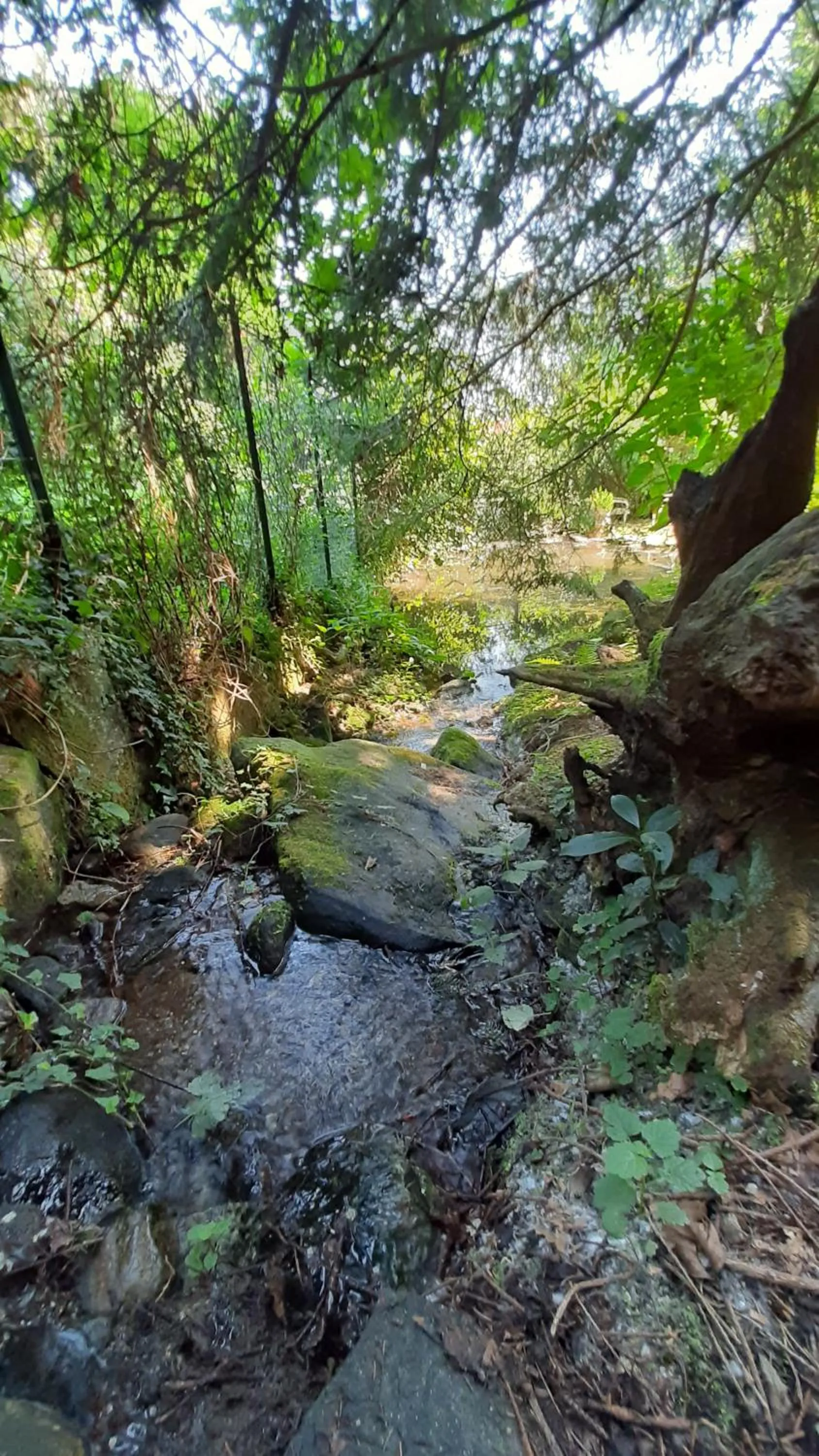 Garden in B&B Al Mutpron