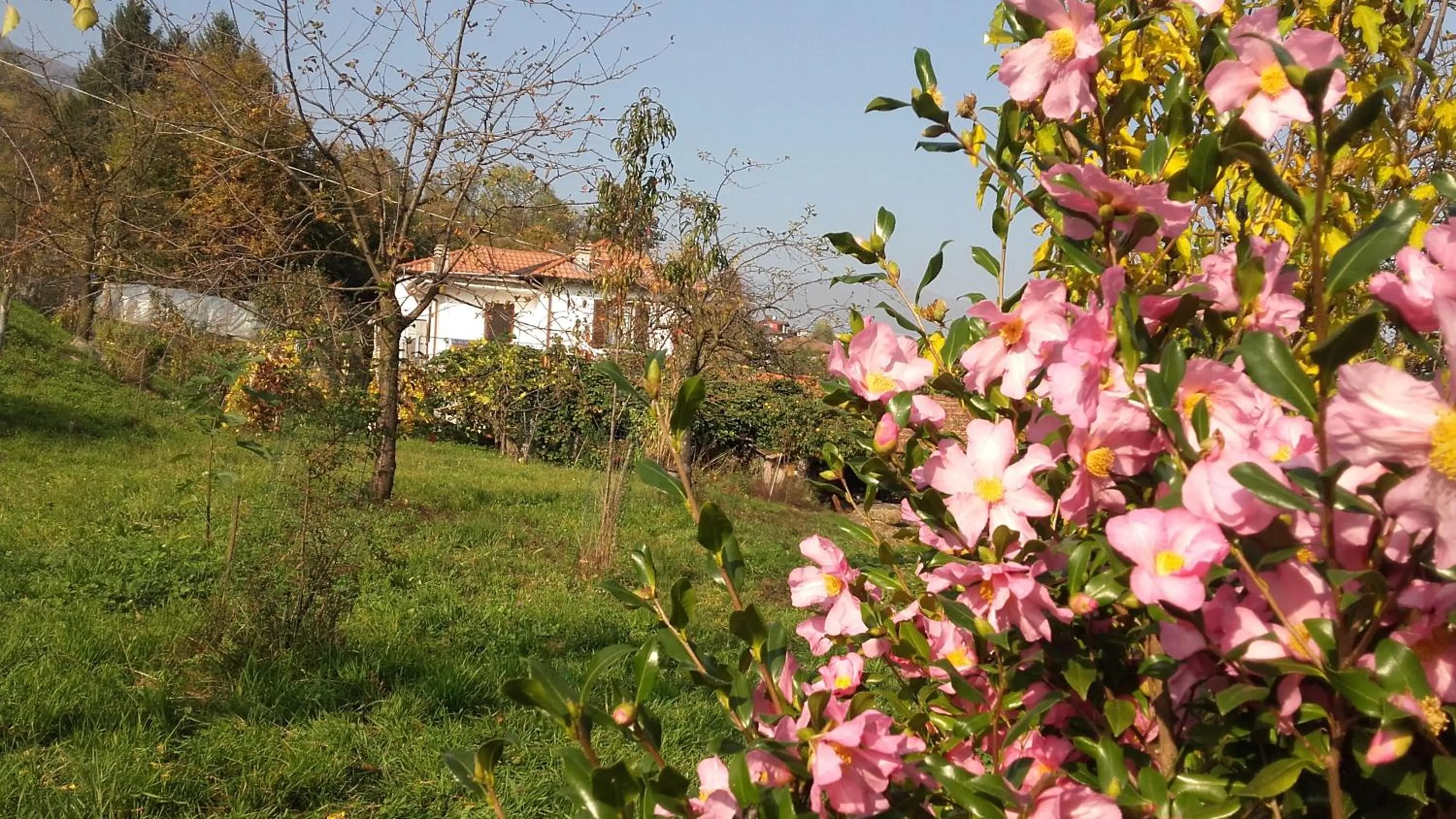 Garden view in B&B Al Mutpron