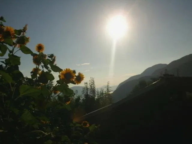 Garden in B&B Al Mutpron